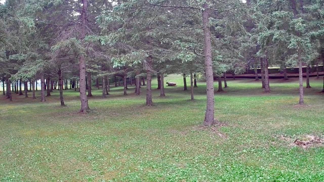 main property photo 51