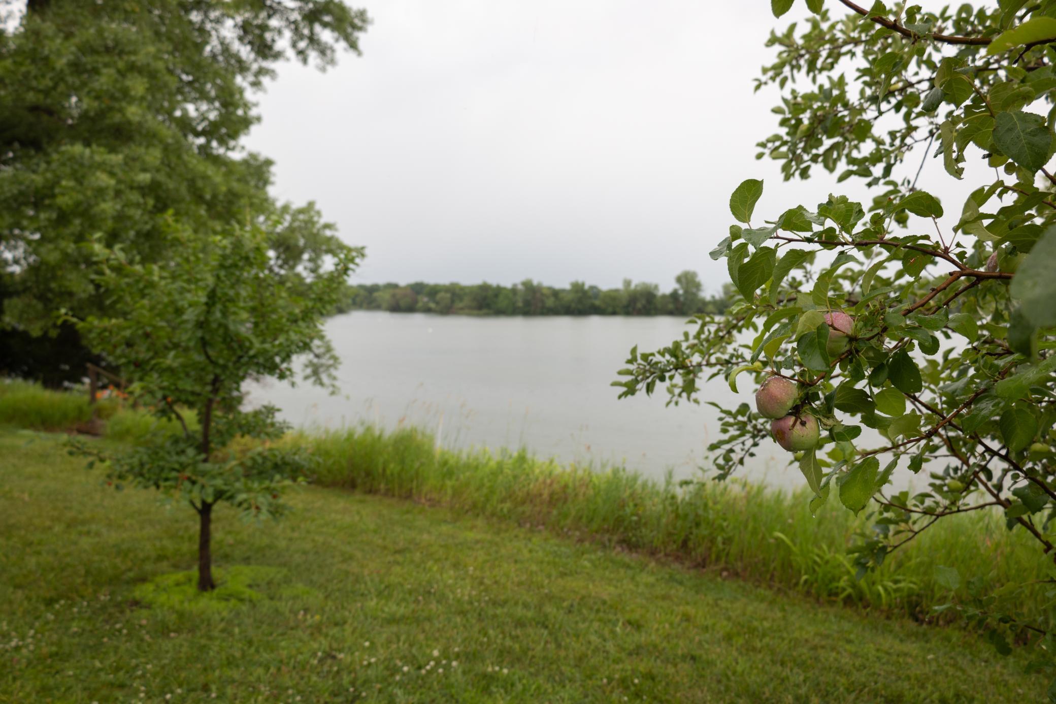 main property photo 96