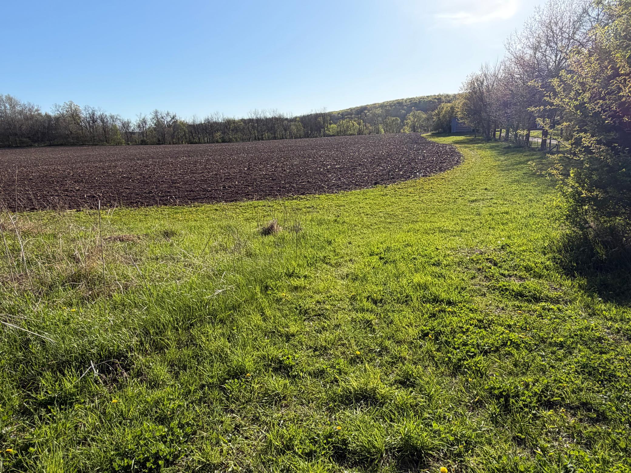 main property photo 44