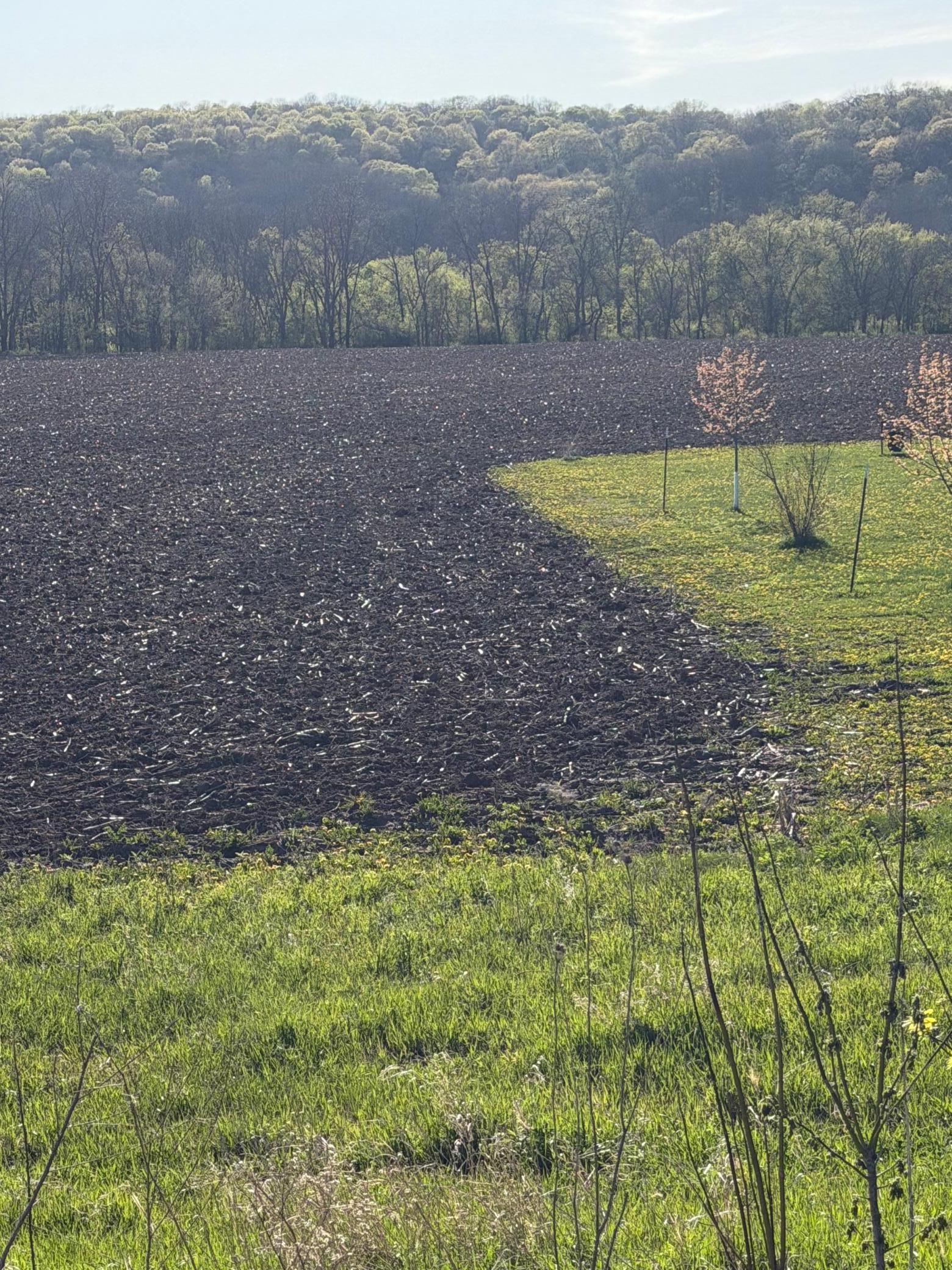 main property photo 48
