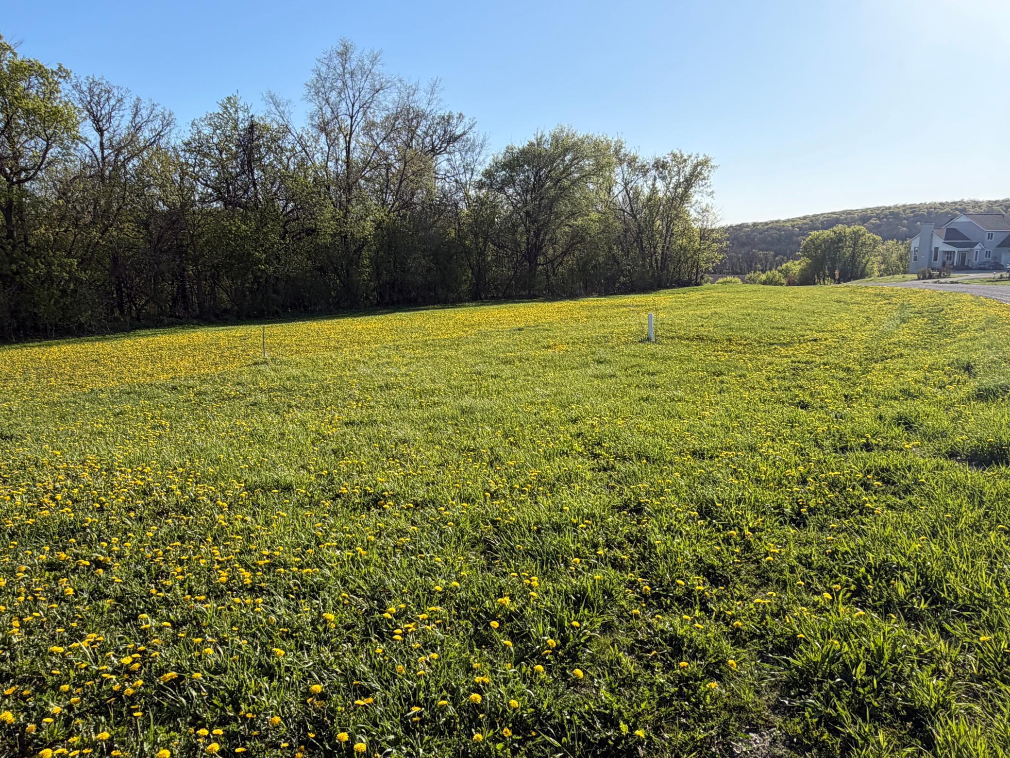 main property photo 53