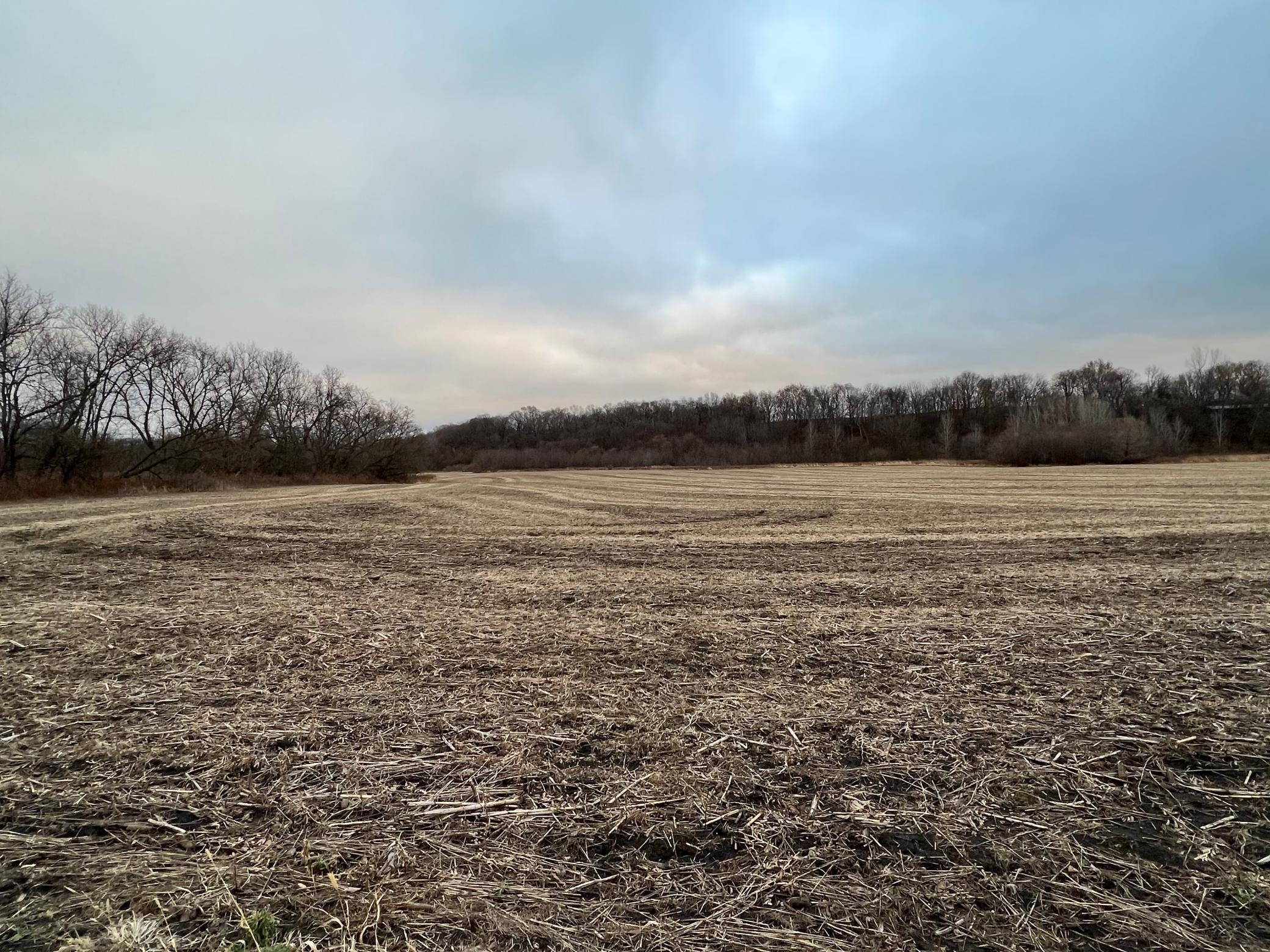 main property photo 62