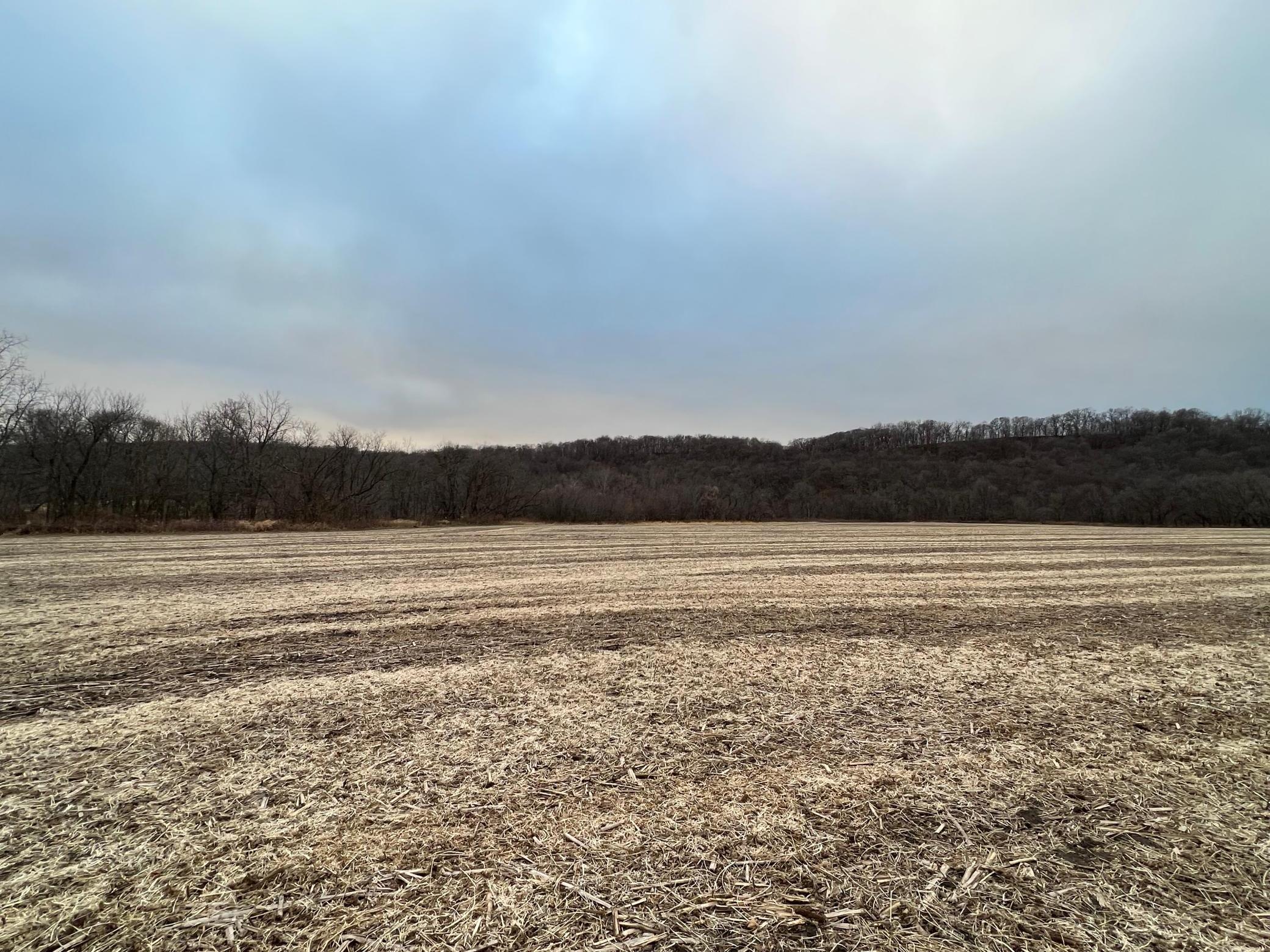 main property photo 63