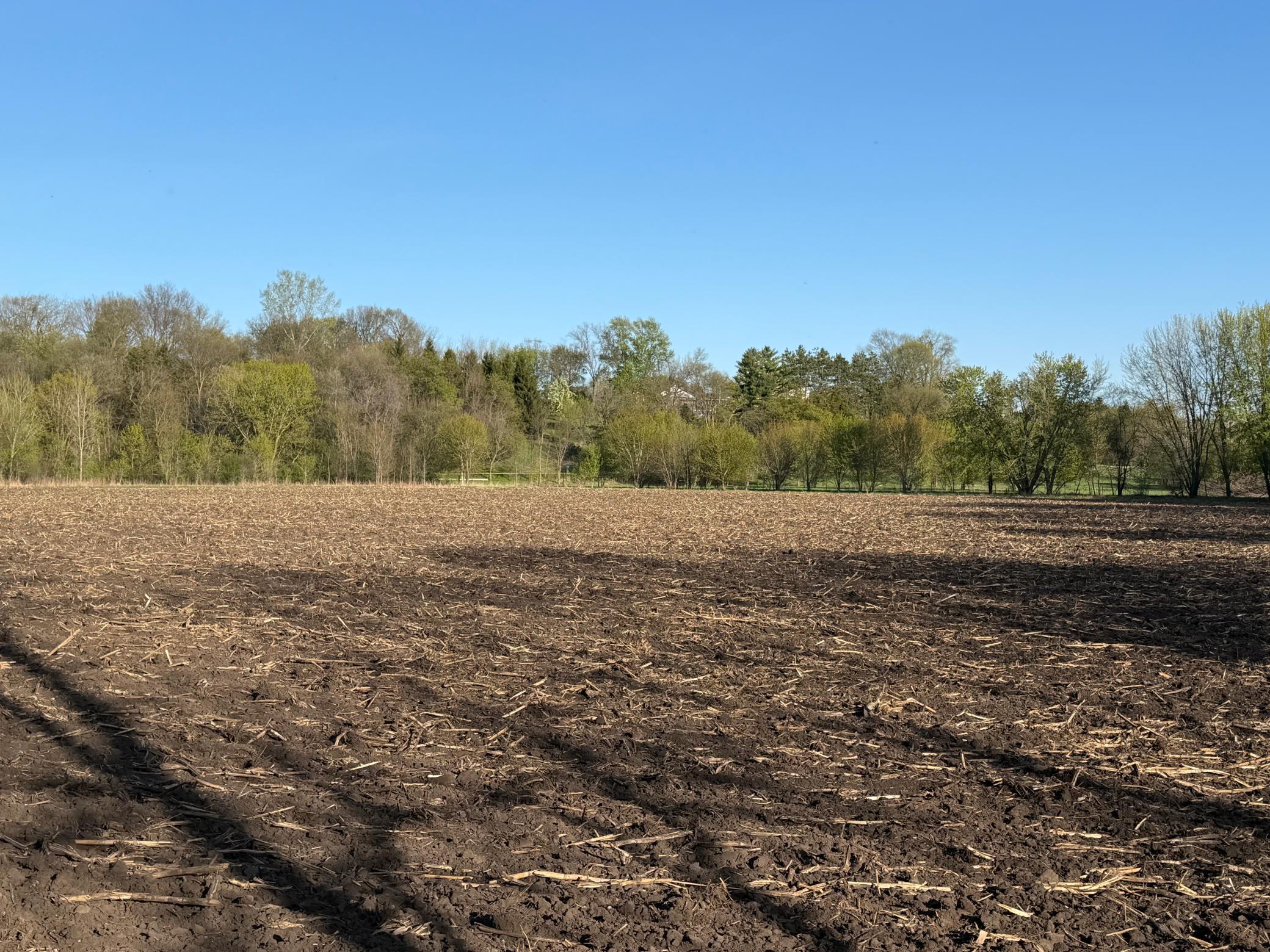 main property photo 64
