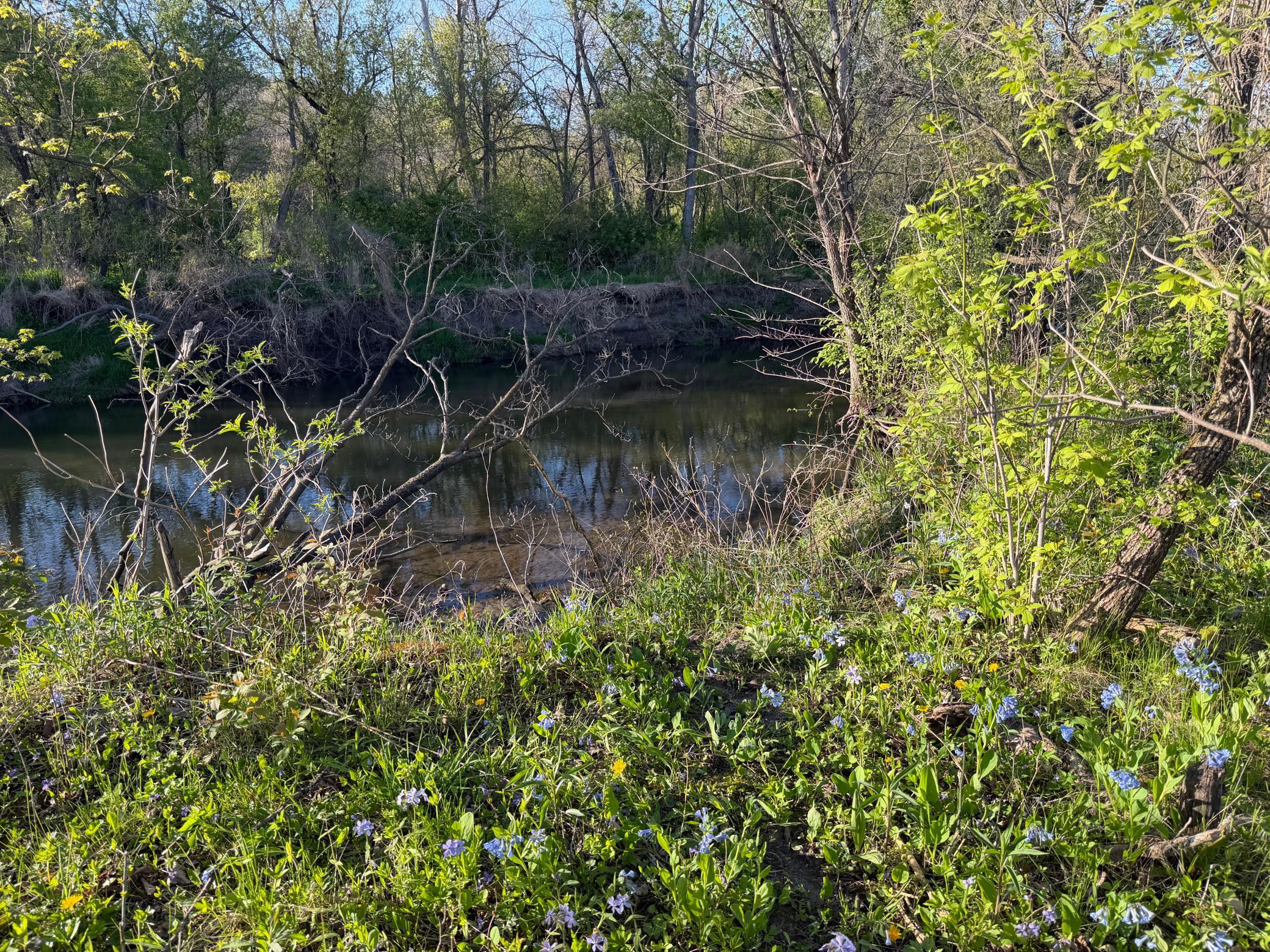 main property photo 67