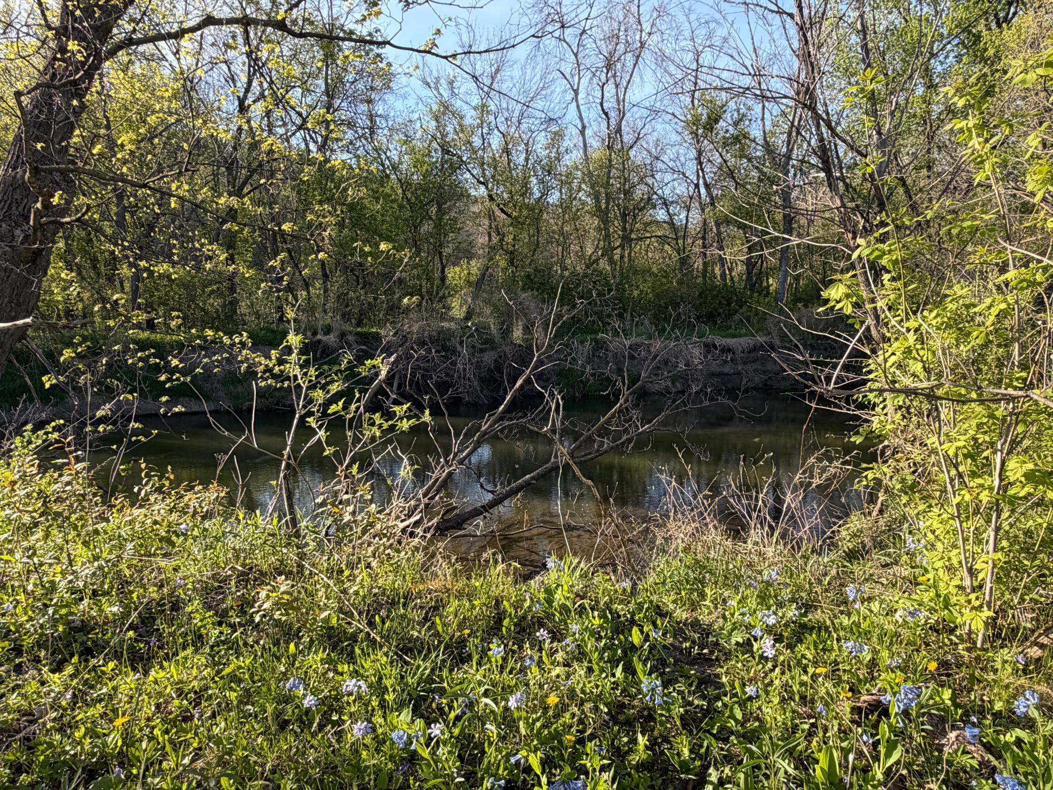 main property photo 69
