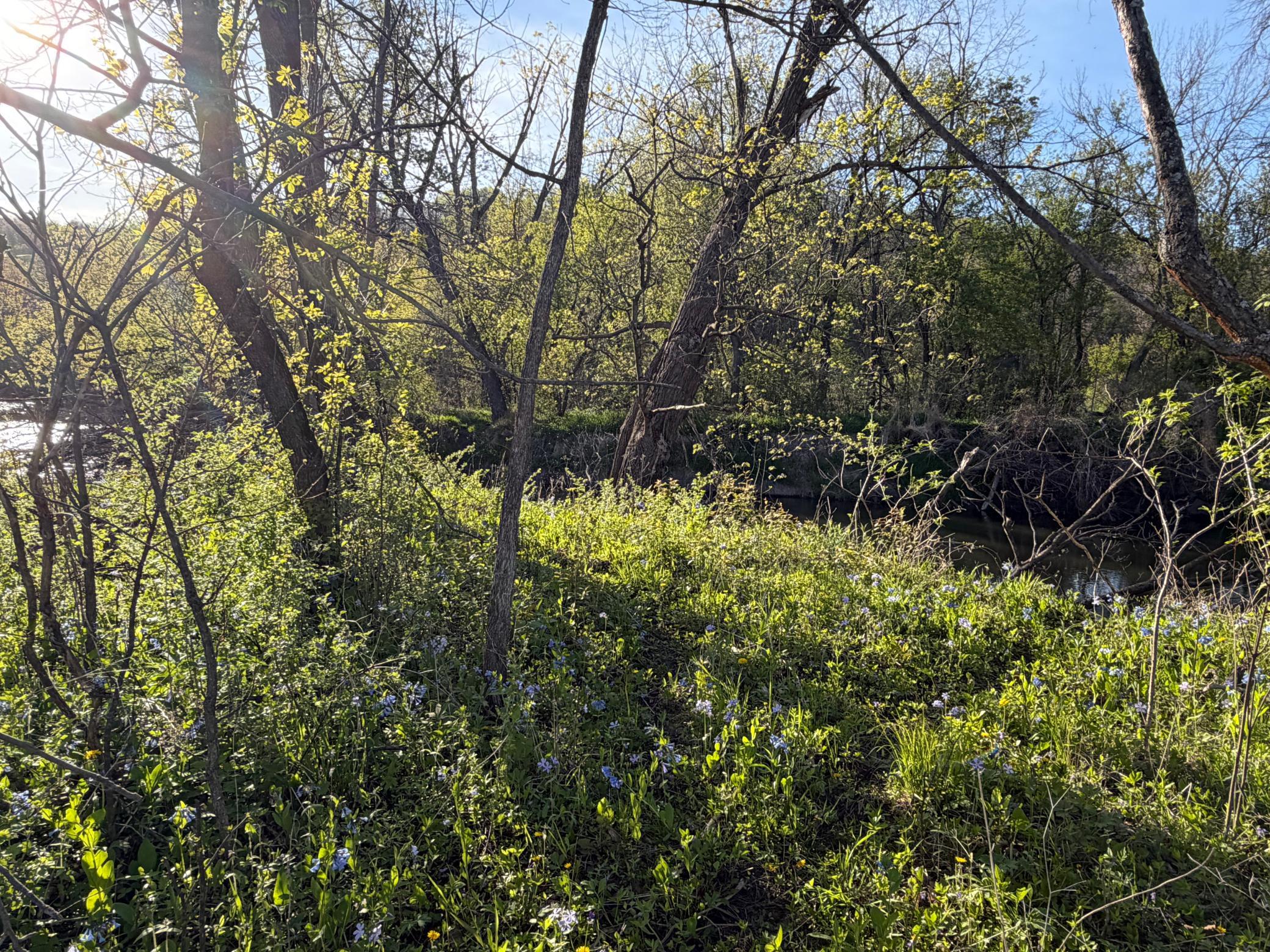main property photo 70