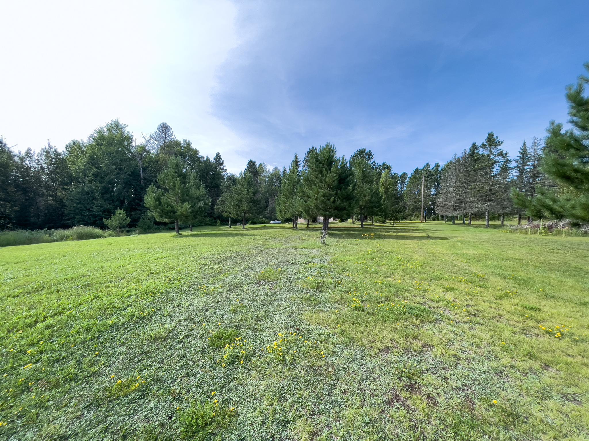main property photo 52
