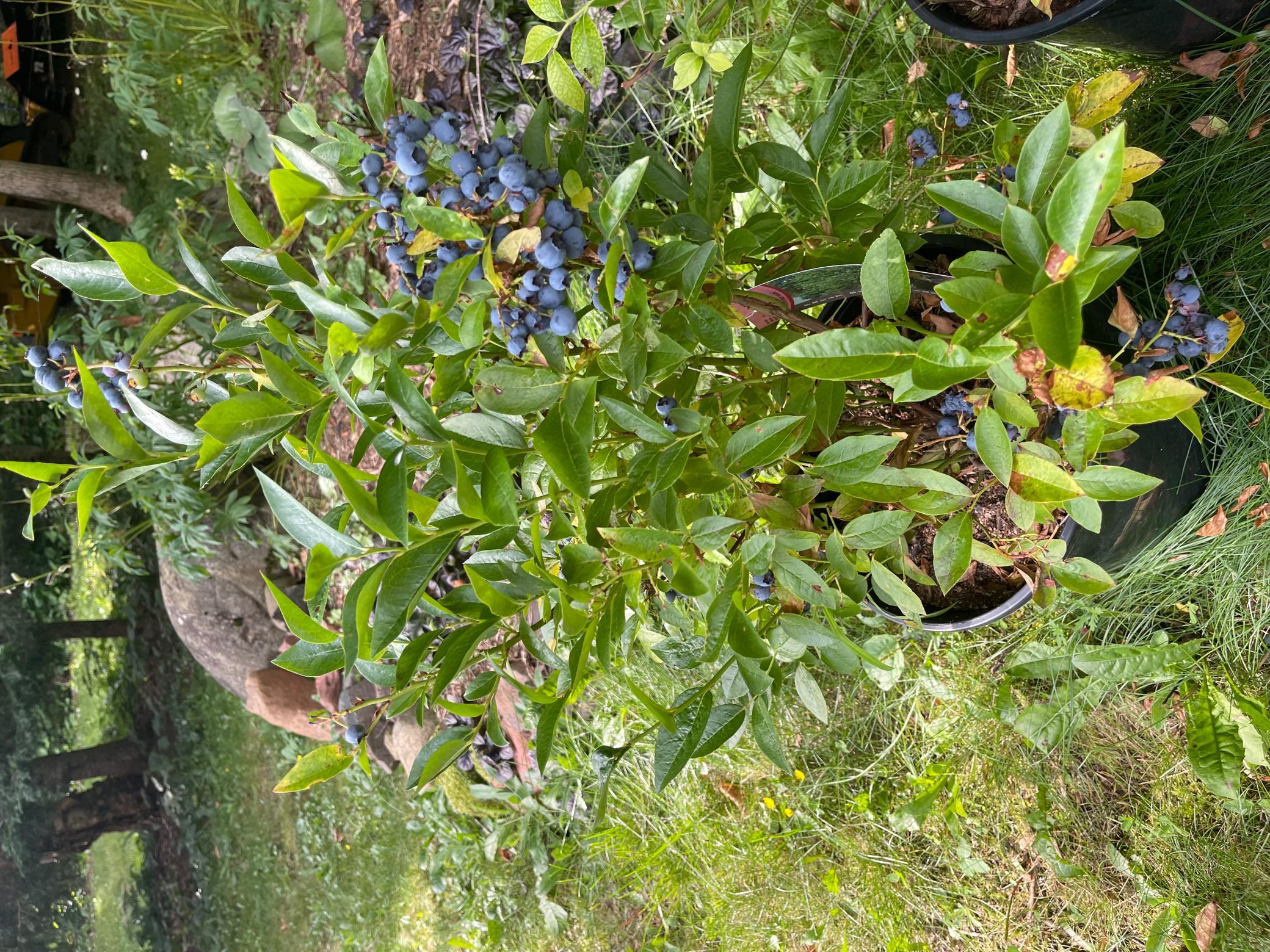 main property photo 50