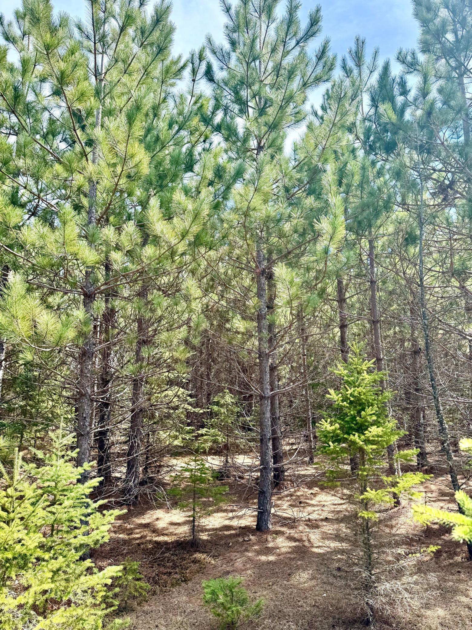 main property photo 20