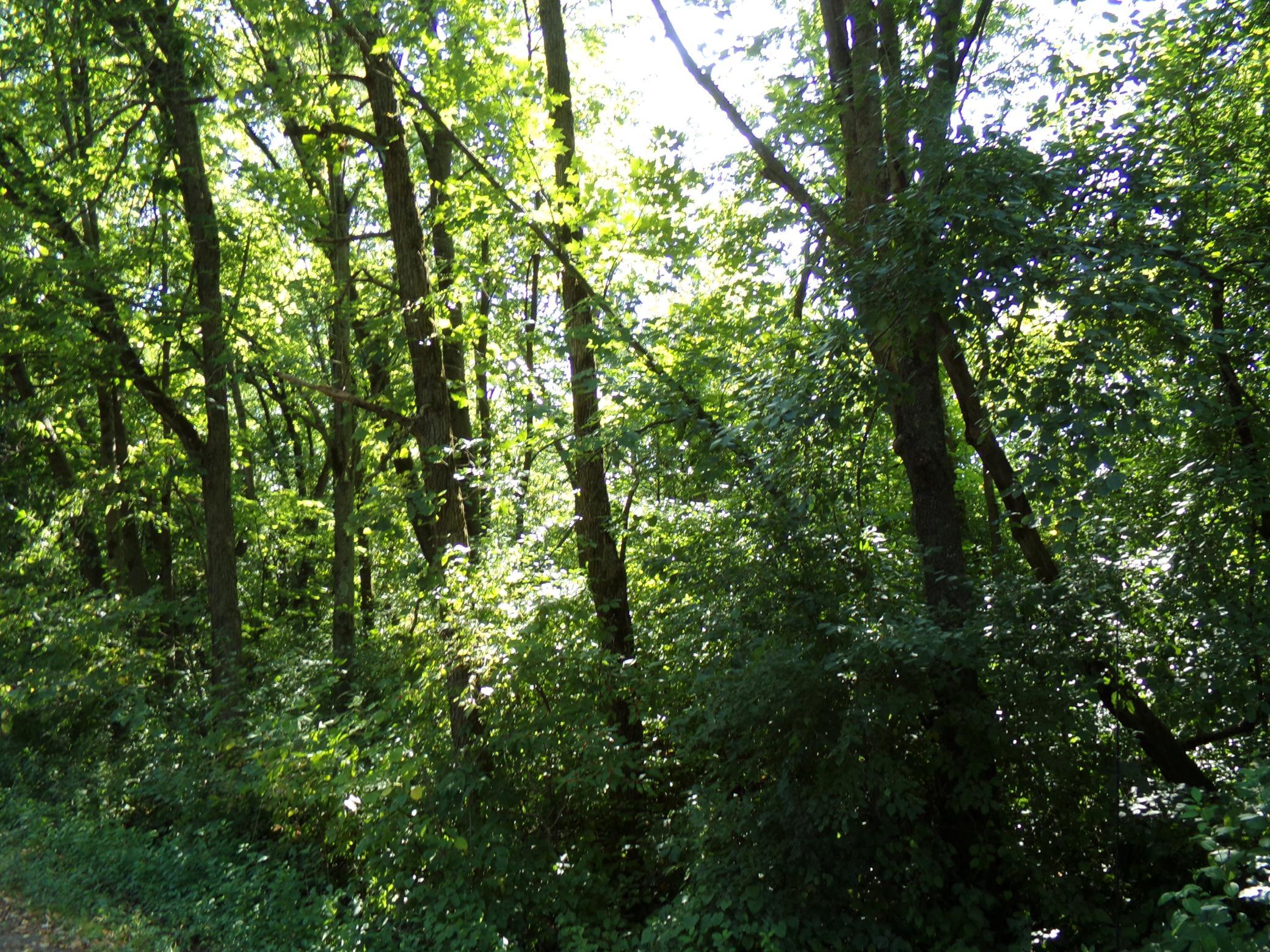 main property photo 12