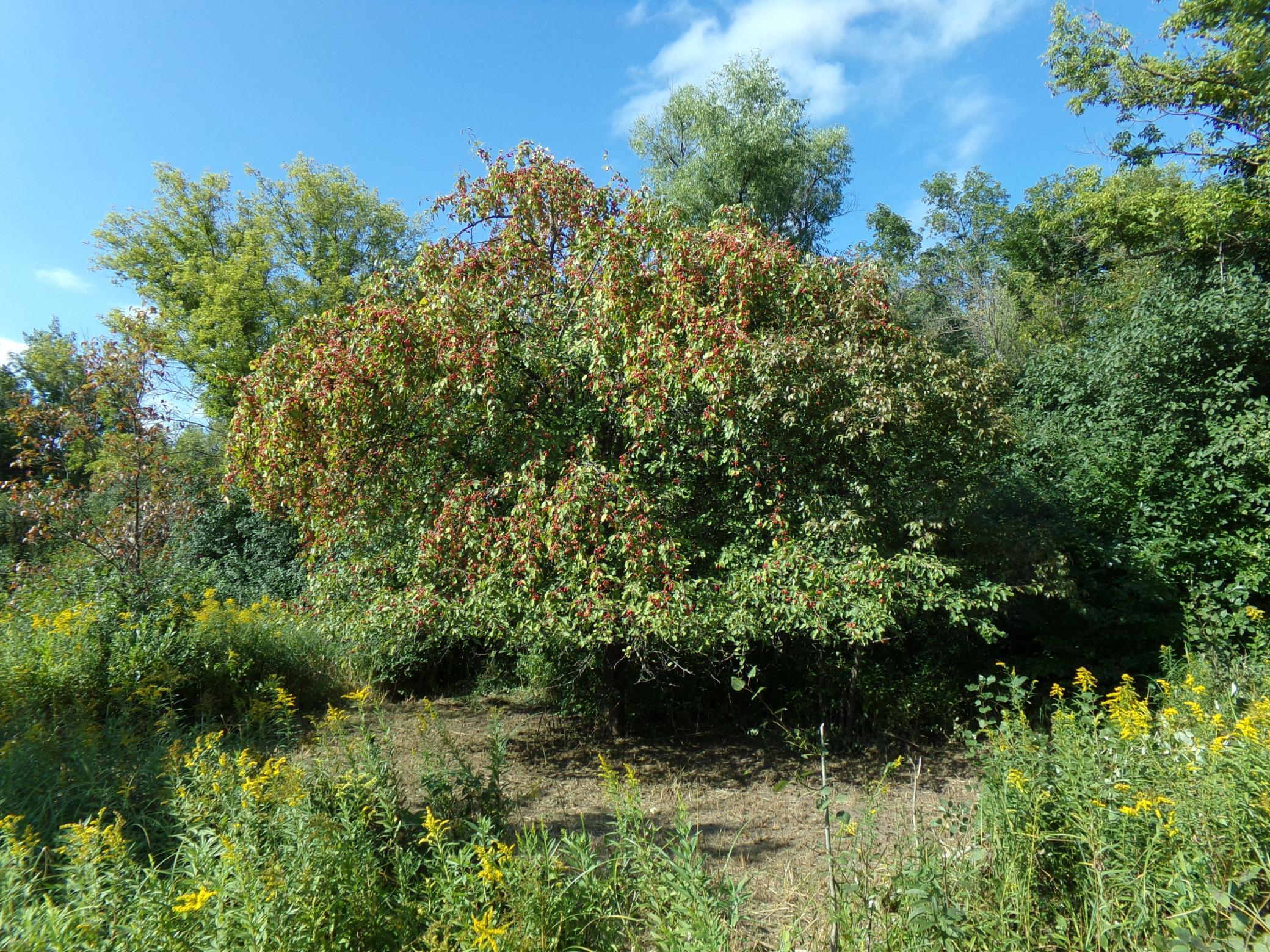 main property photo 6