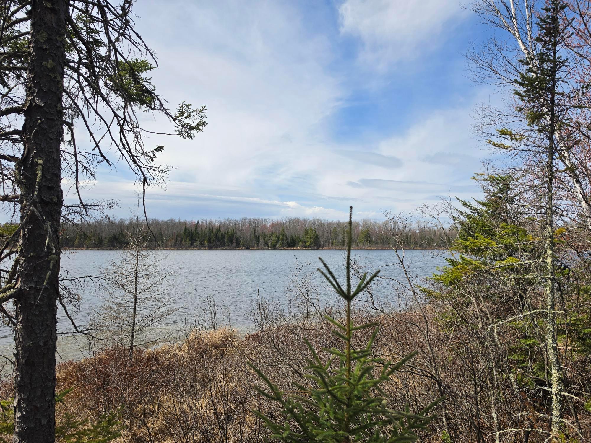 main property photo 39