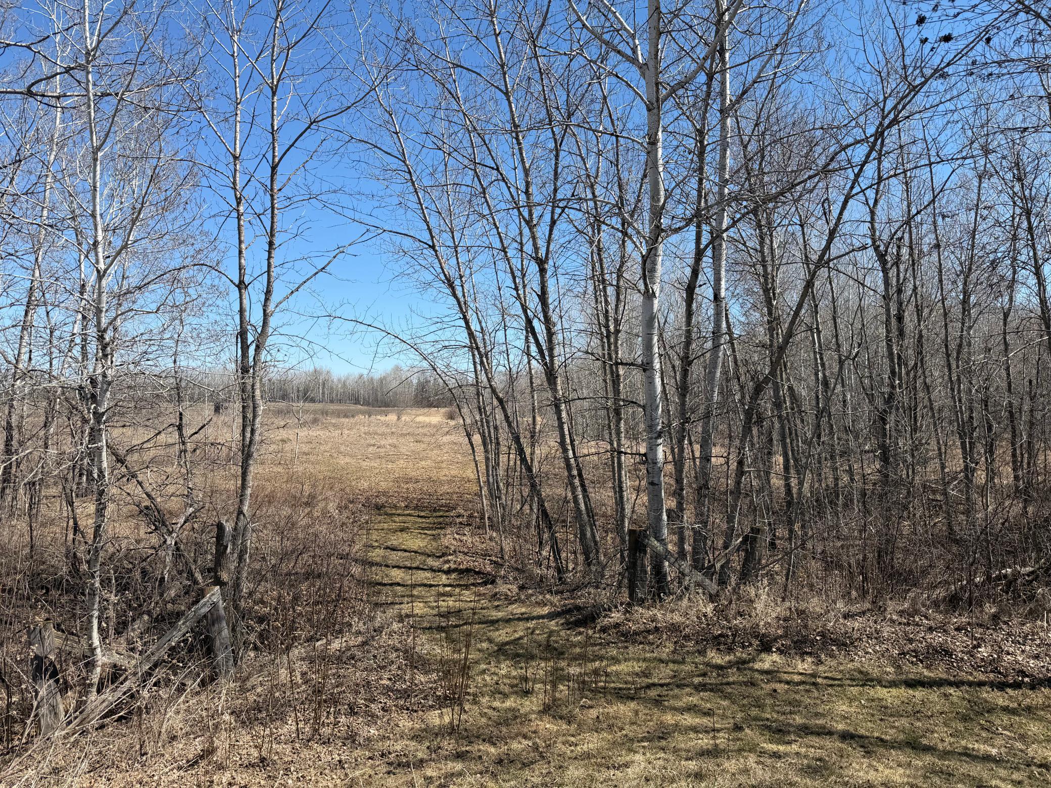 main property photo 45