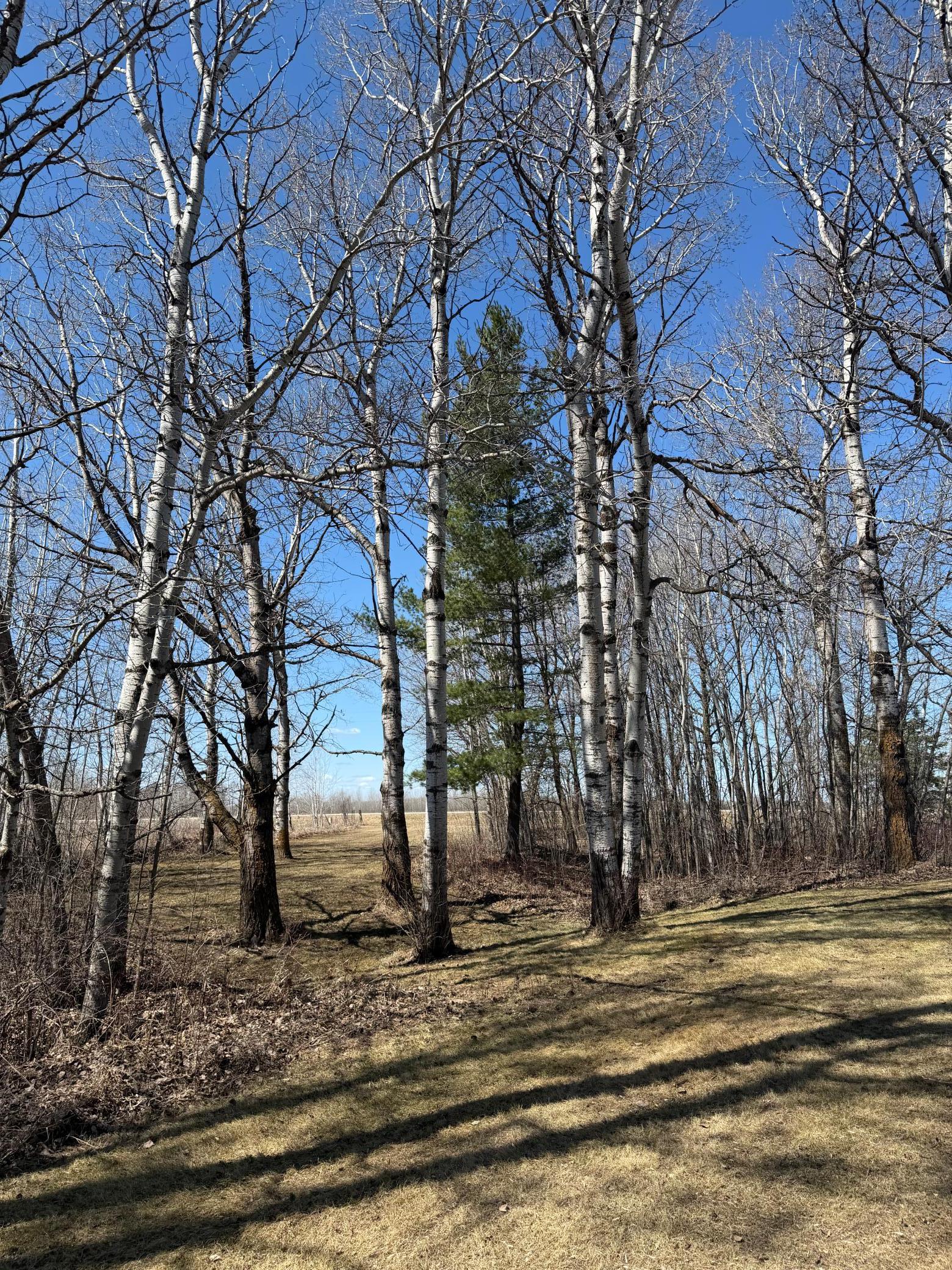 main property photo 46