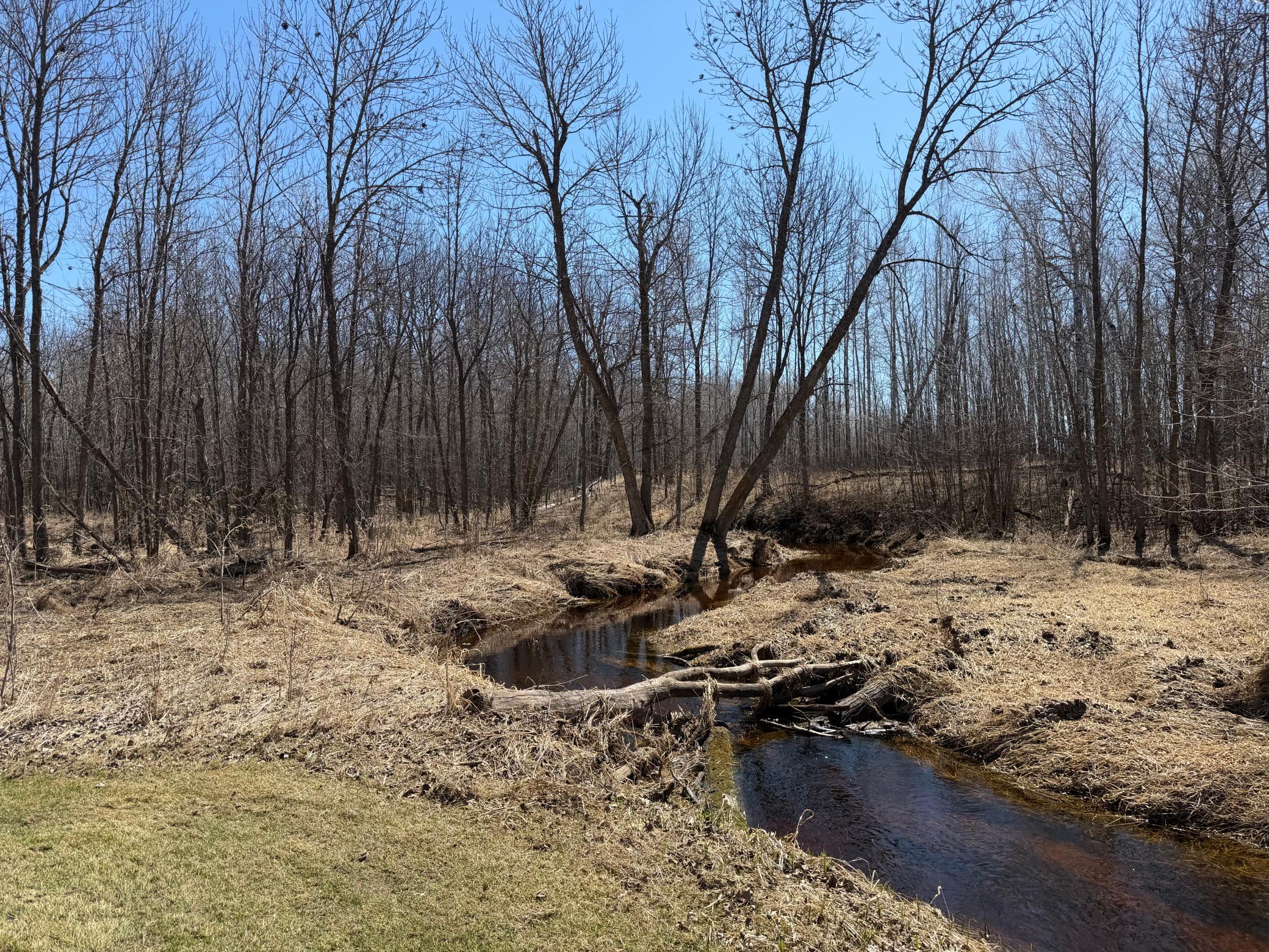 main property photo 8