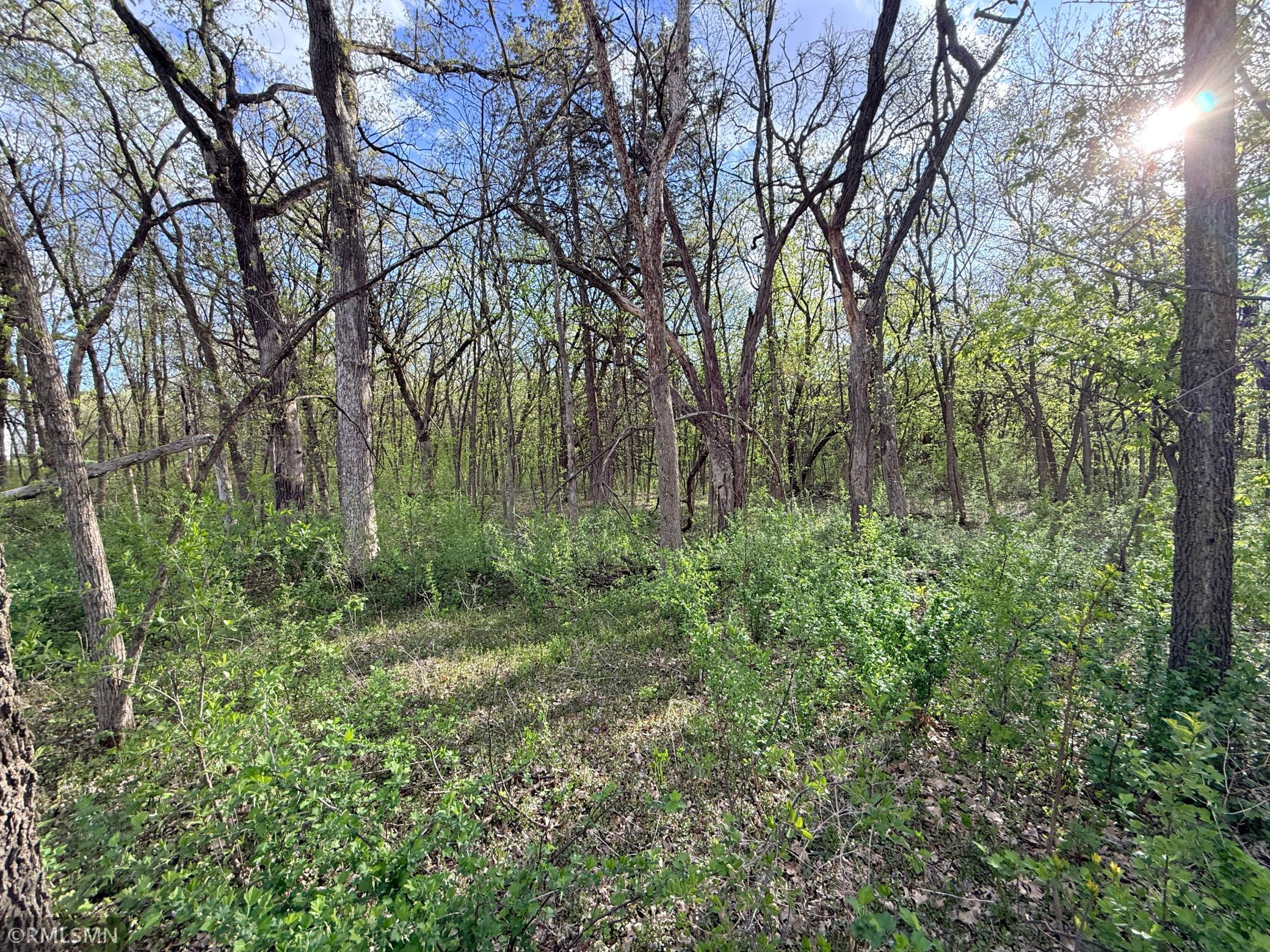 main property photo 46