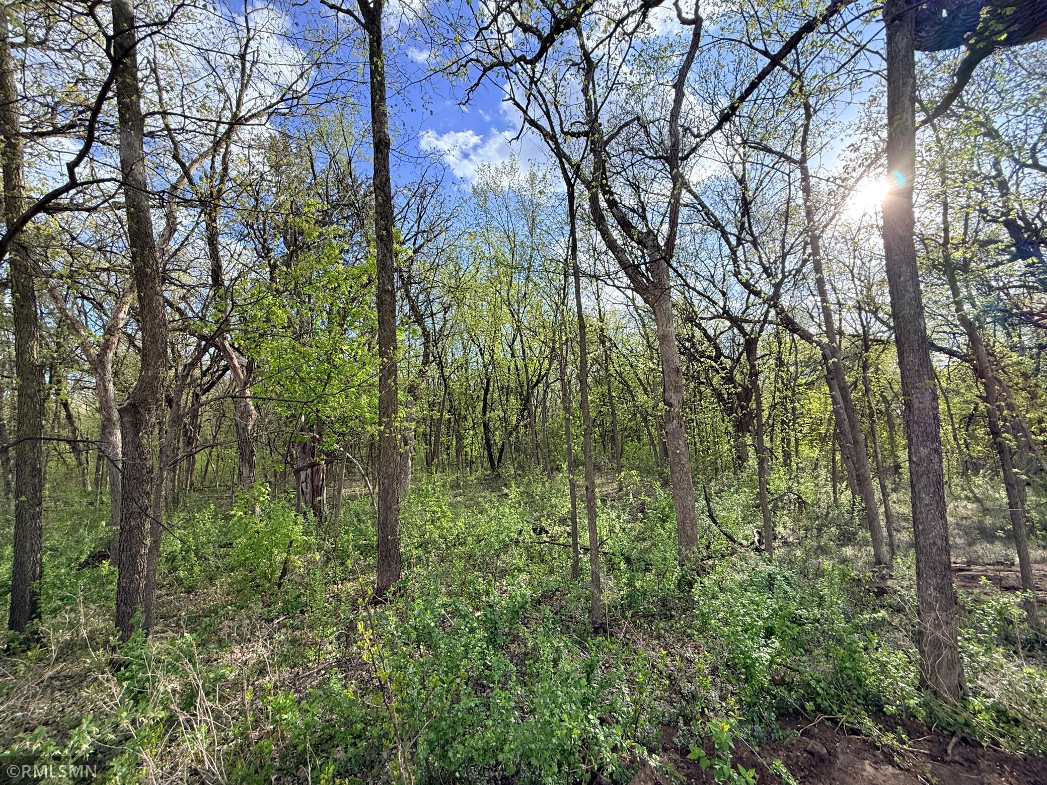 main property photo 47