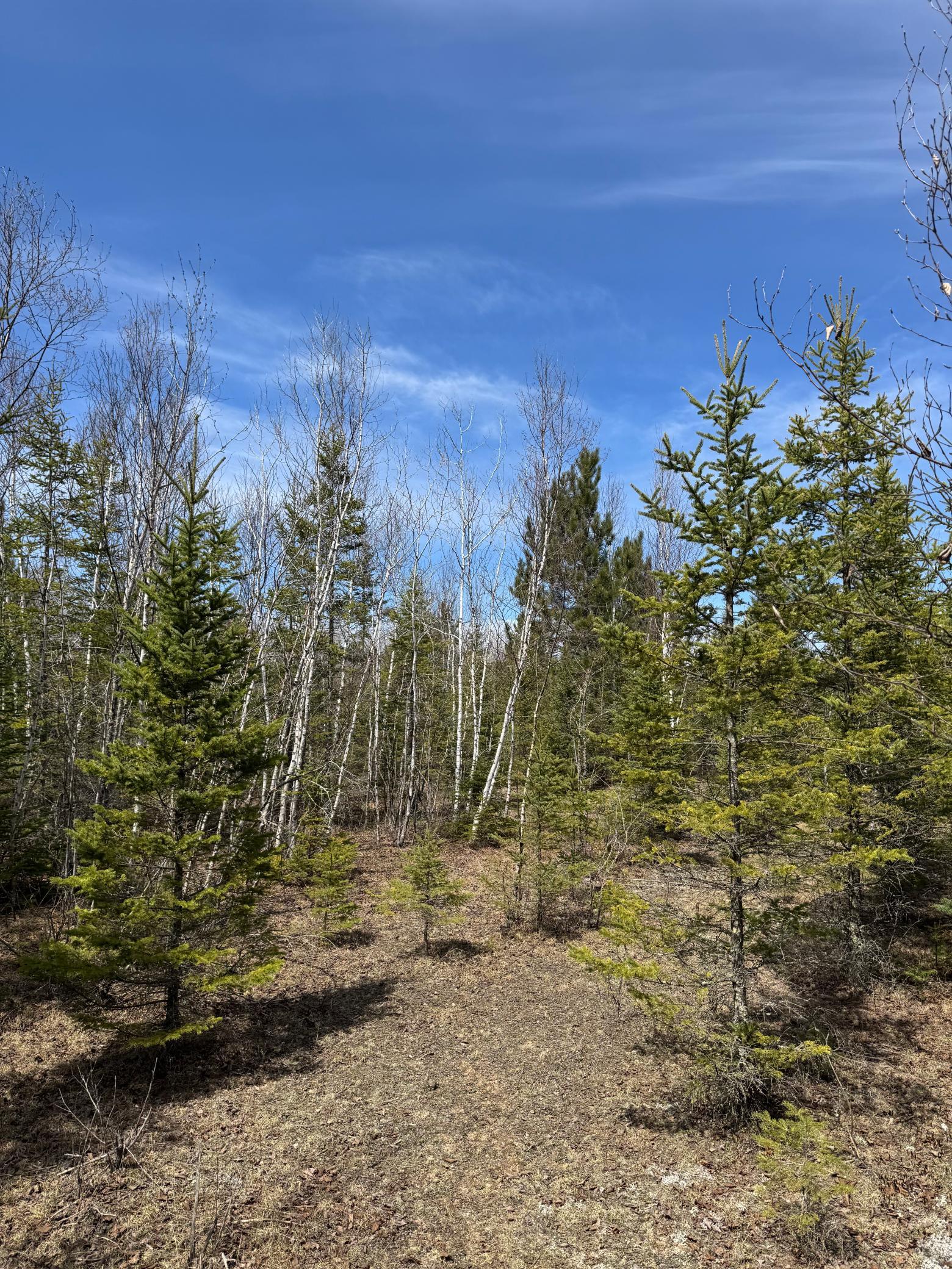 main property photo 18