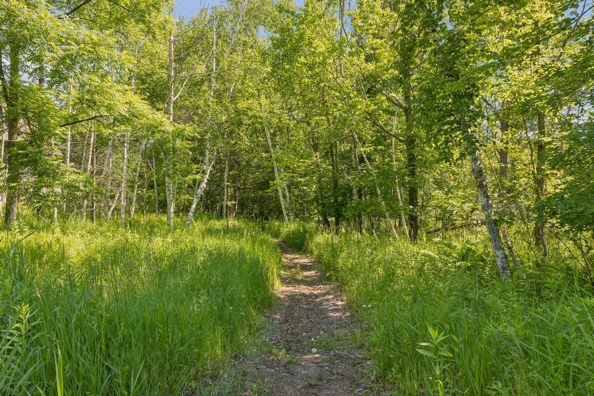 main property photo 114
