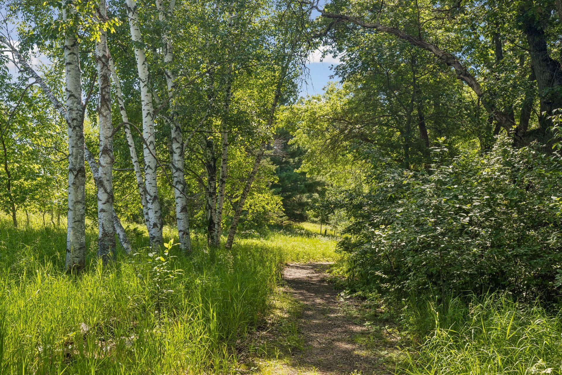 main property photo 126