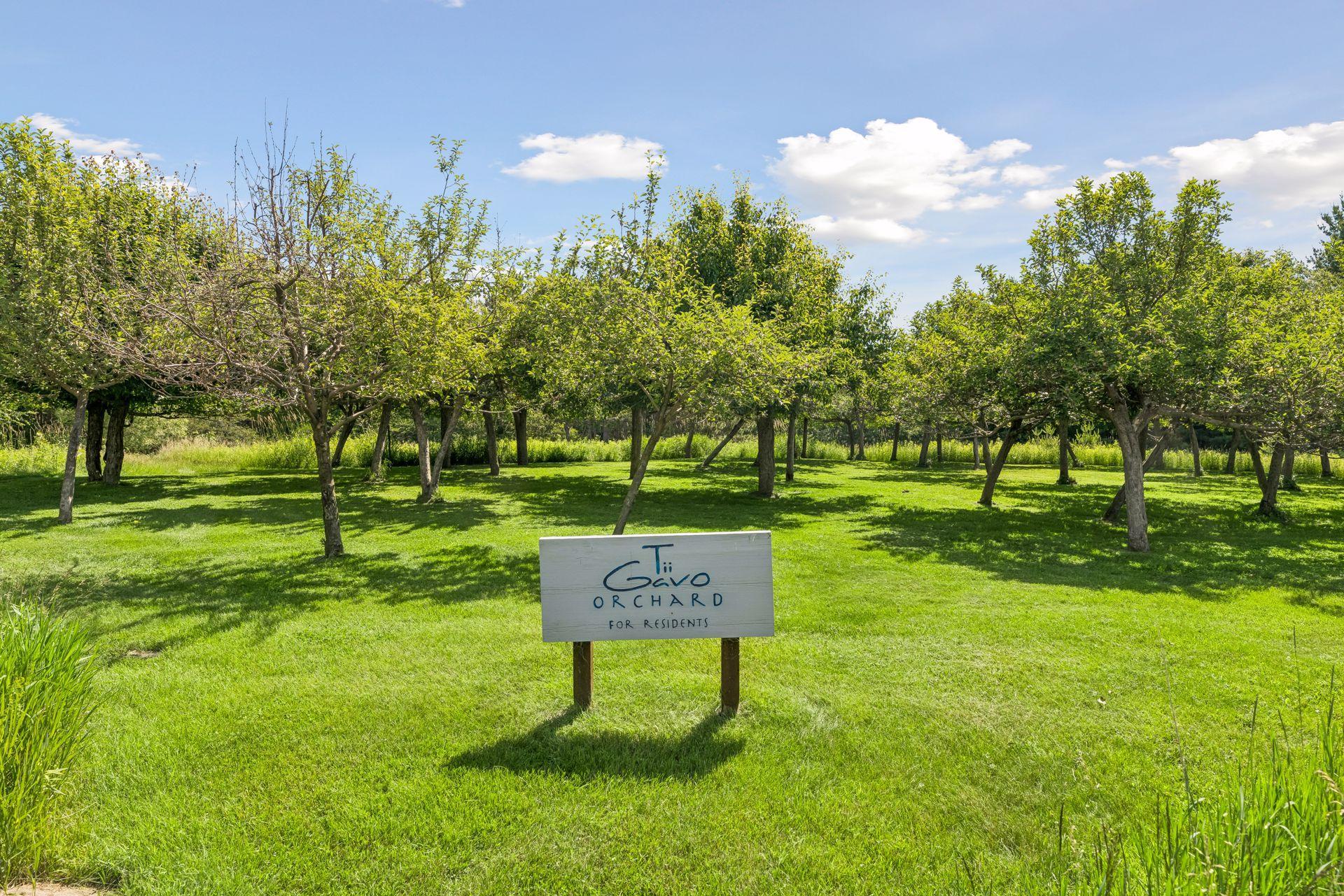 main property photo 129