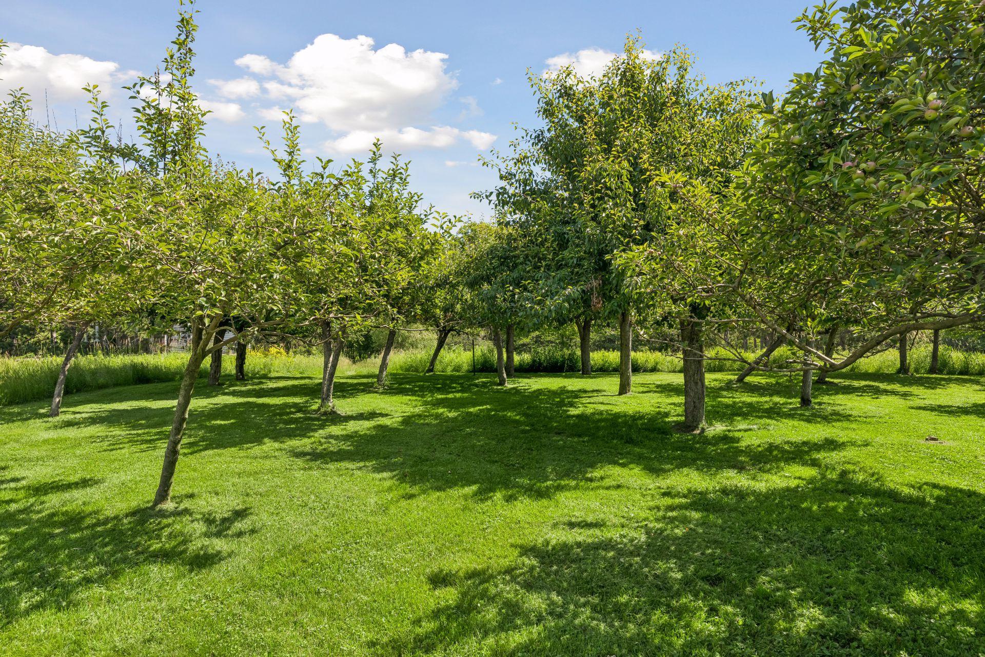 main property photo 130