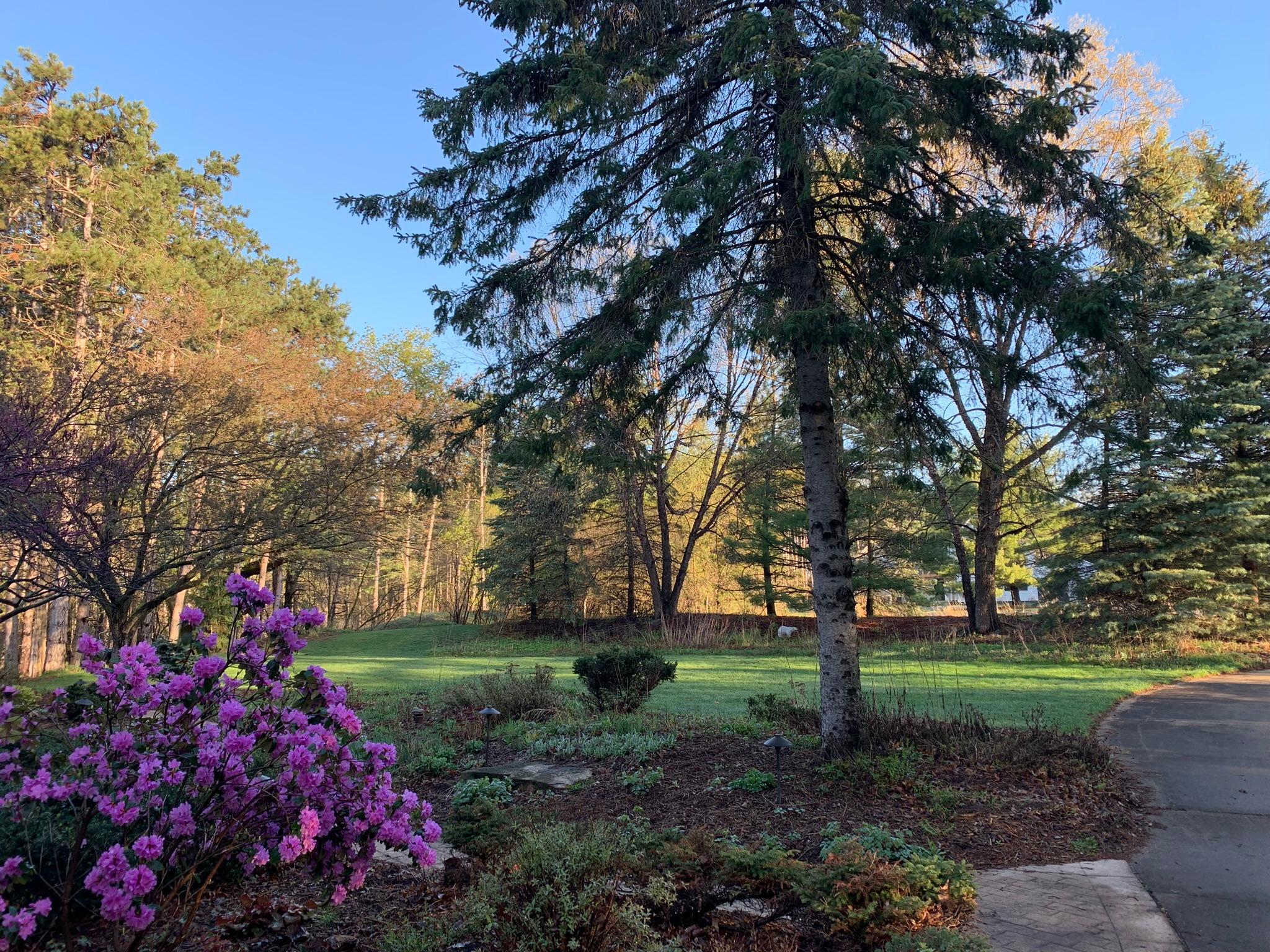 main property photo 50