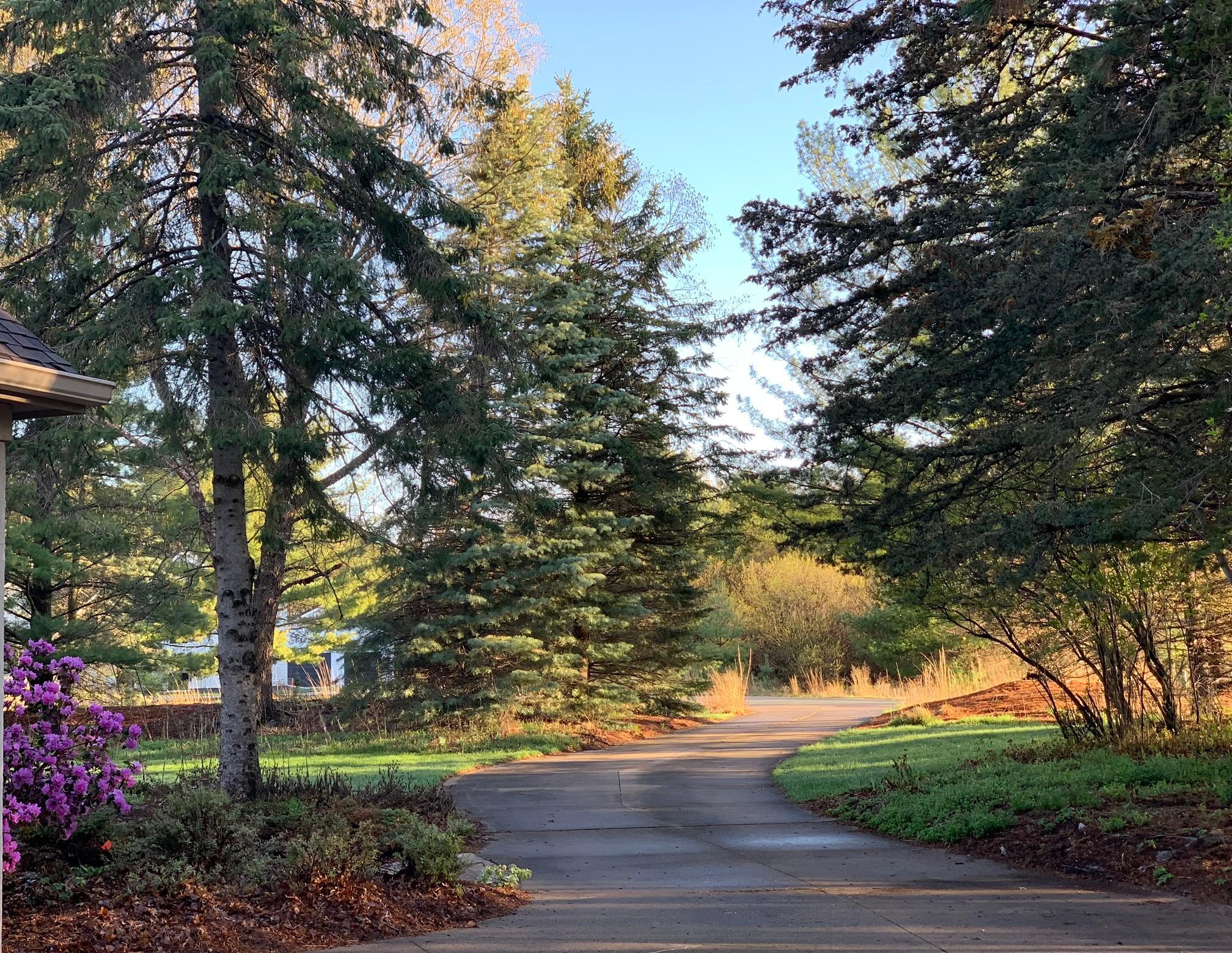 main property photo 51