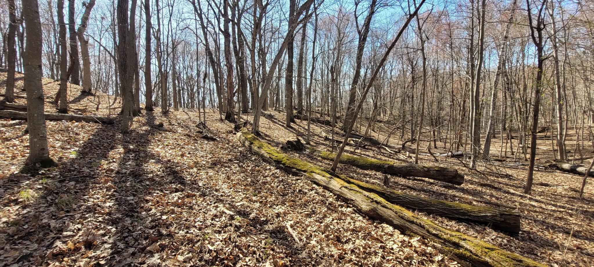 main property photo 11