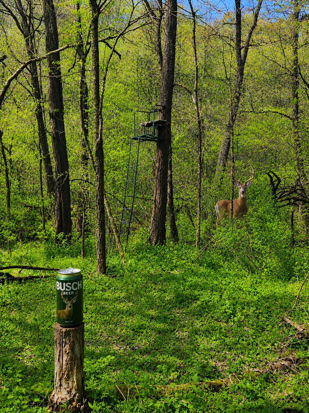 main property photo 21