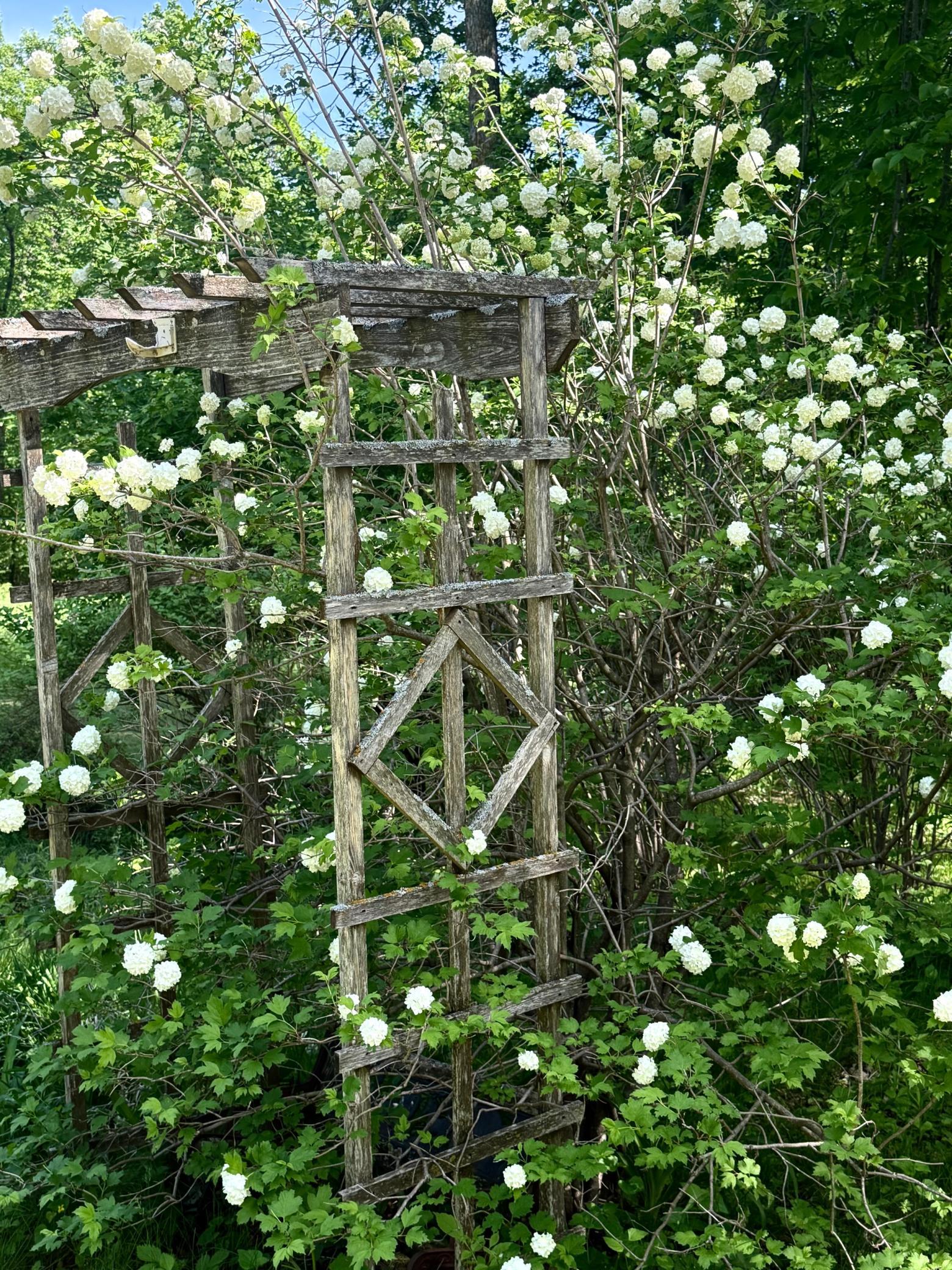 main property photo 62