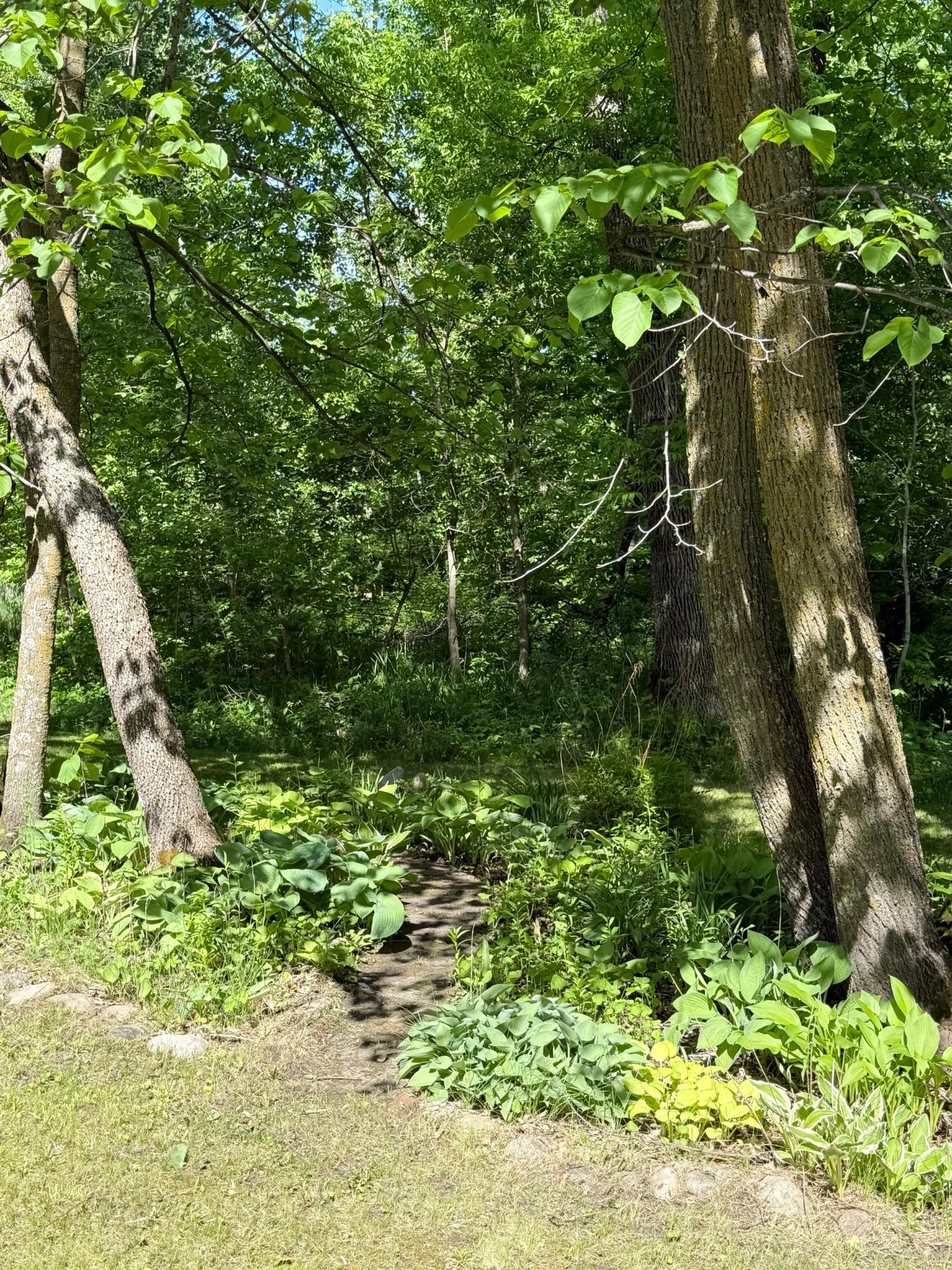 main property photo 64
