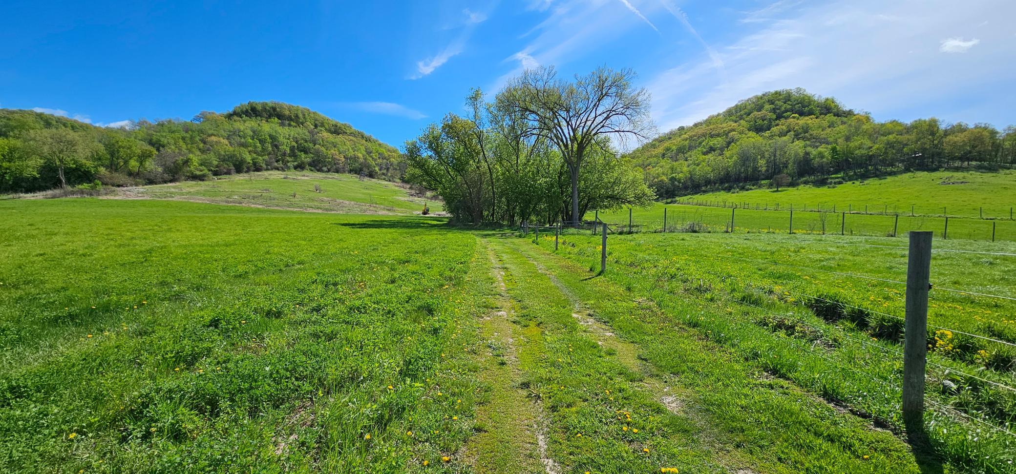 main property photo 135