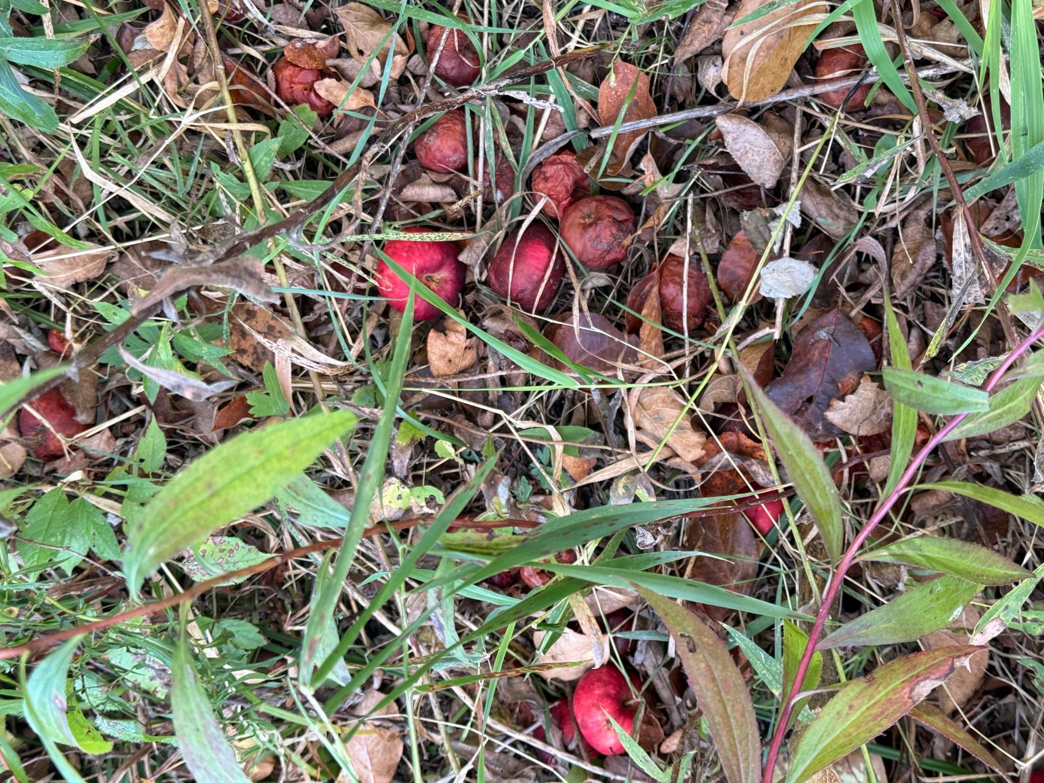main property photo 14