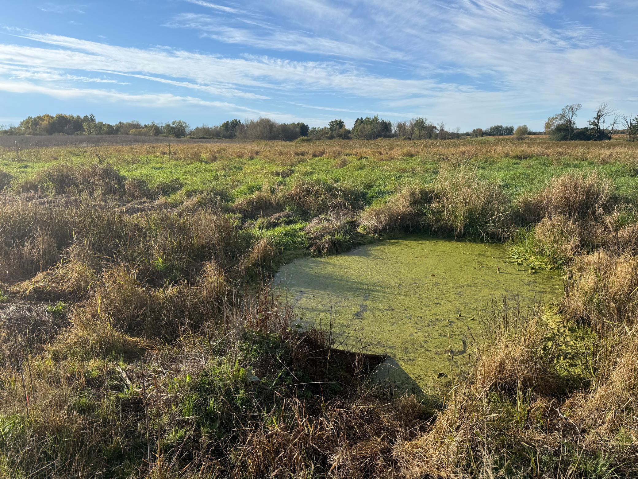 main property photo 48