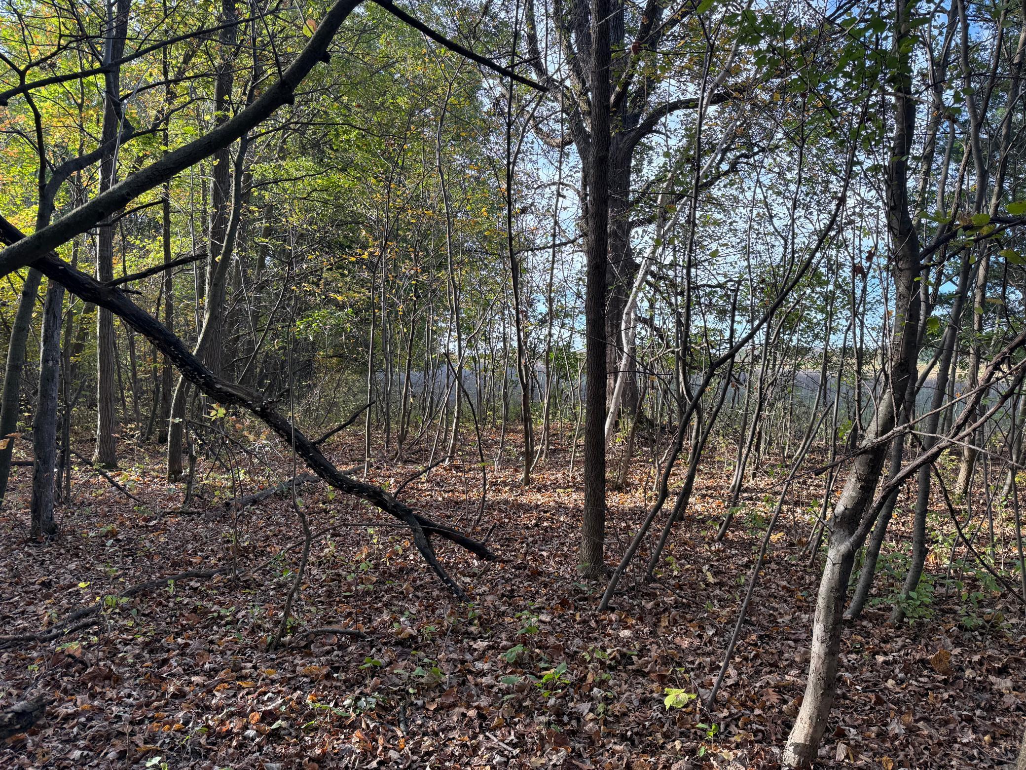 main property photo 49
