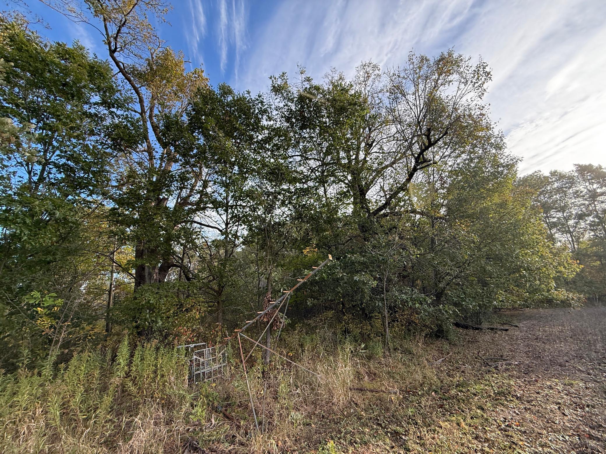 main property photo 53