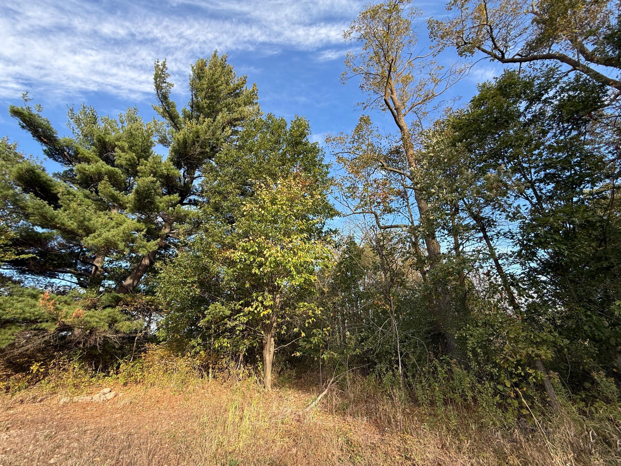 main property photo 55