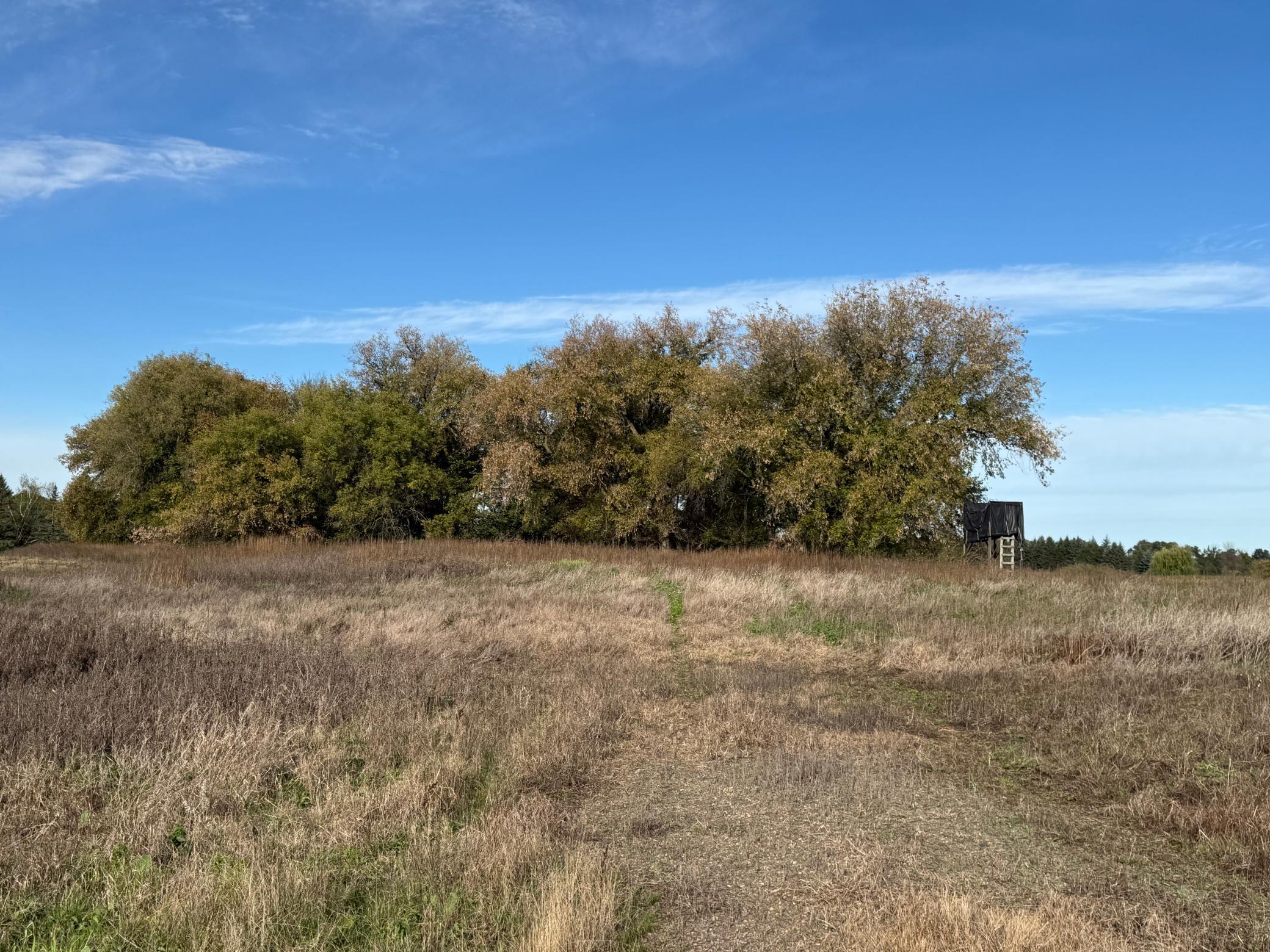 main property photo 58