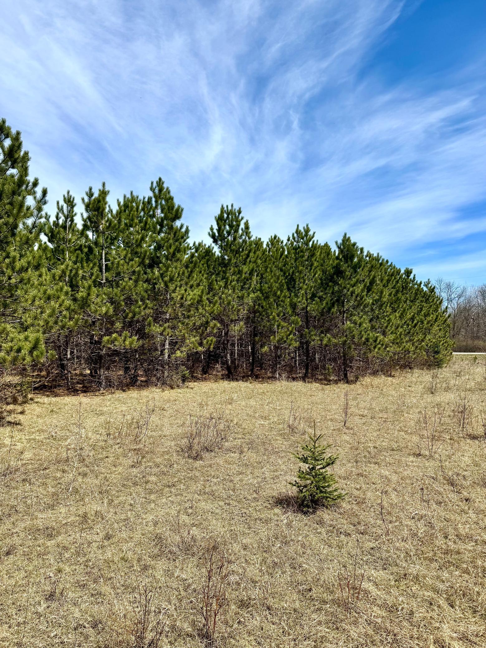 main property photo 37