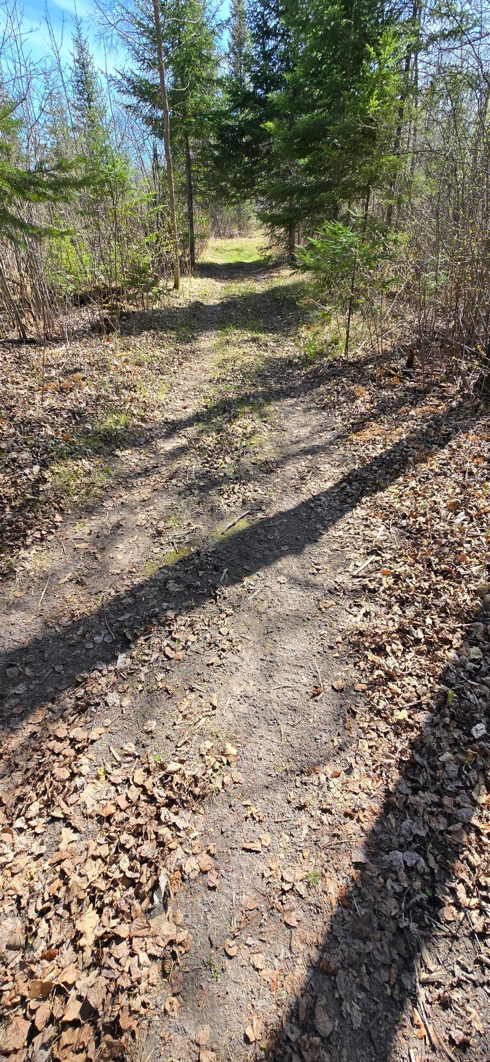 main property photo 6