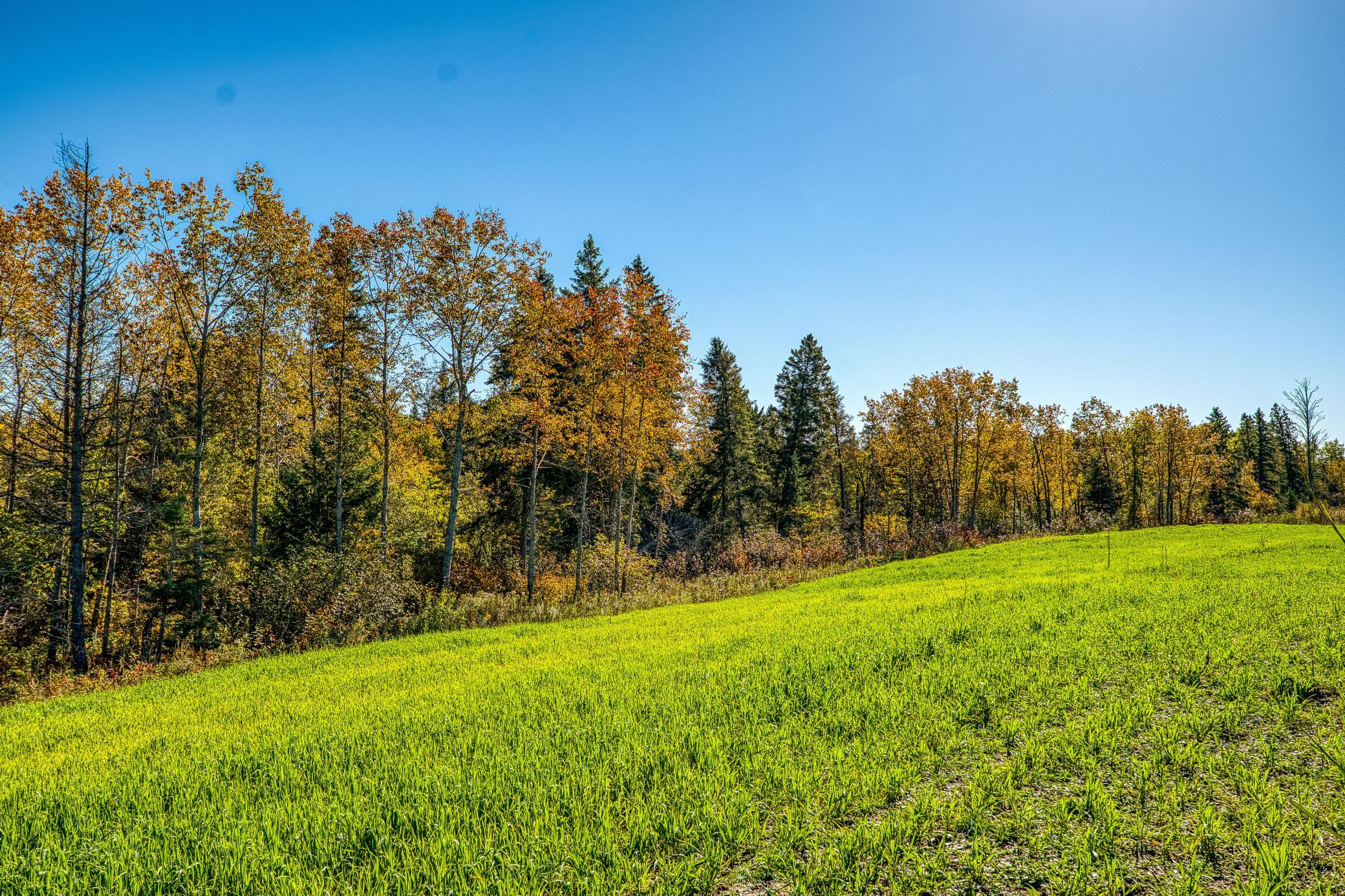 main property photo 124