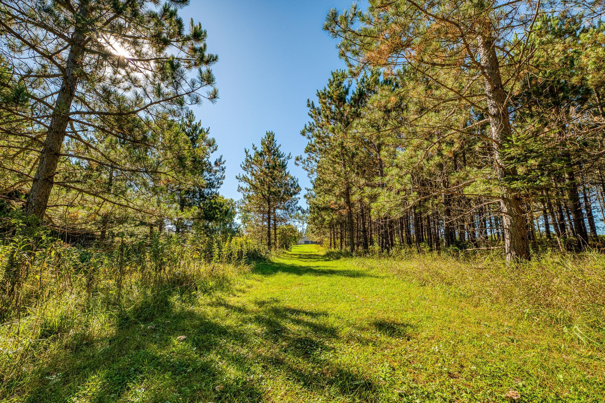 main property photo 127