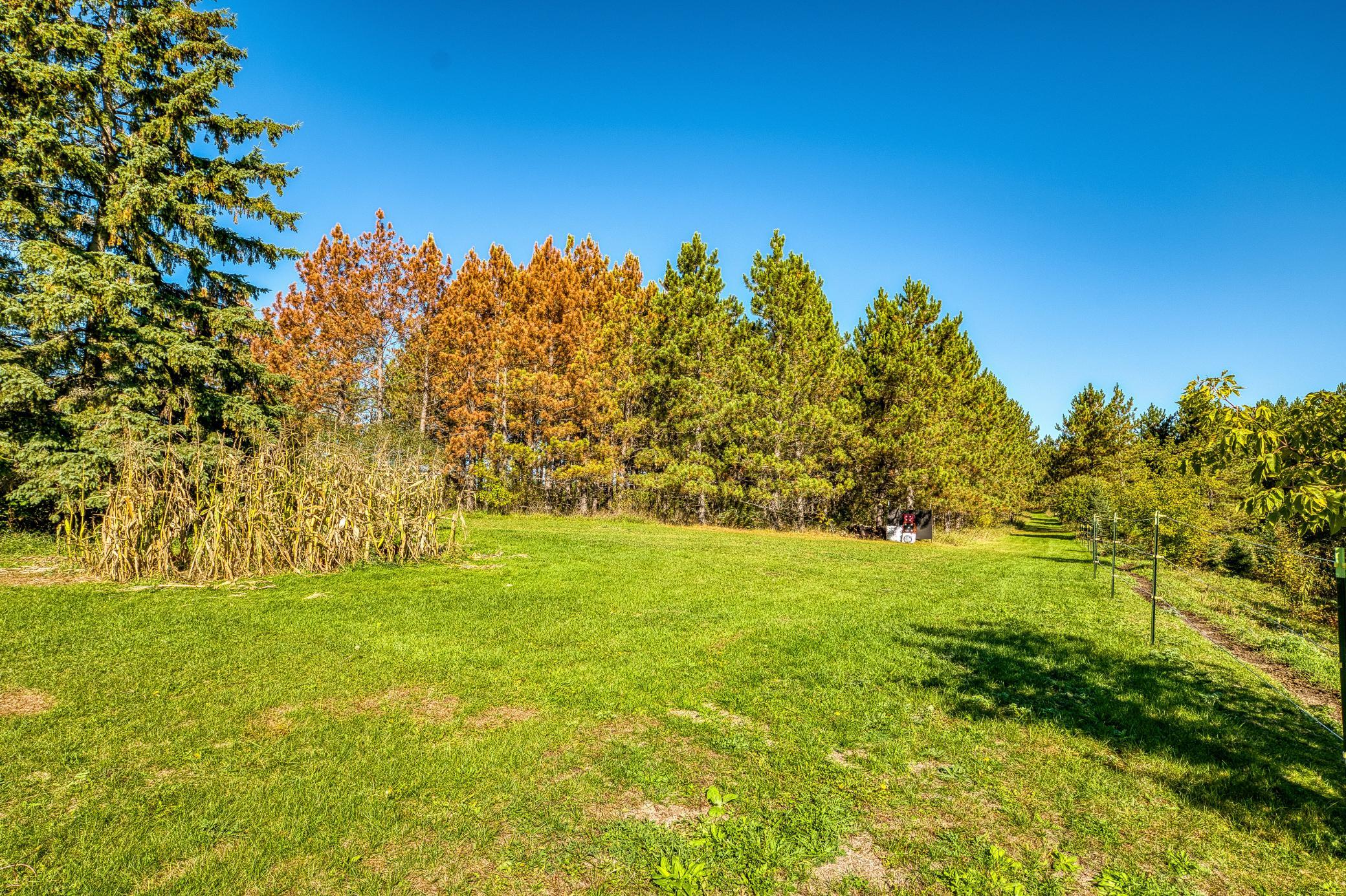 main property photo 129