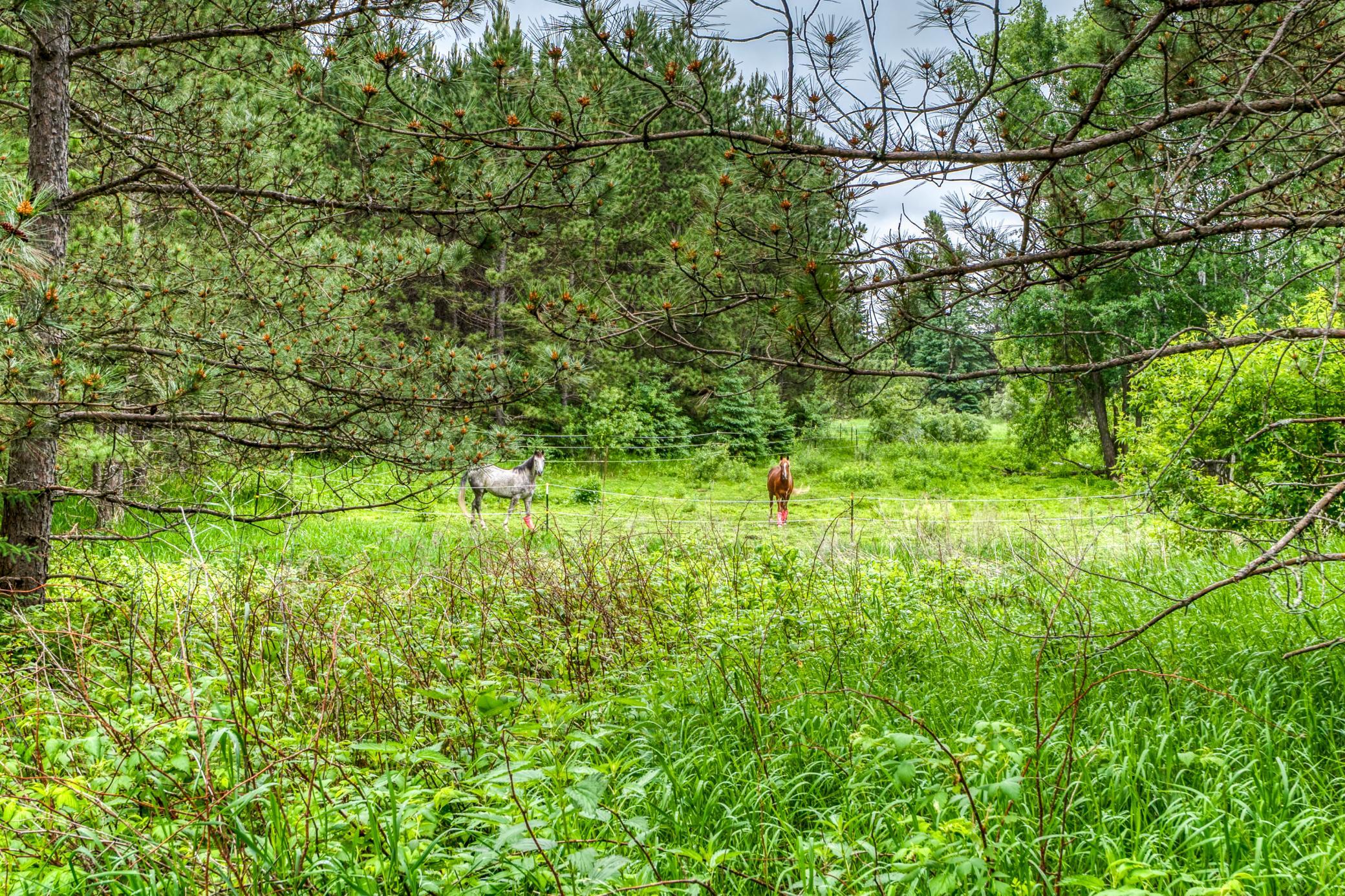 main property photo 58