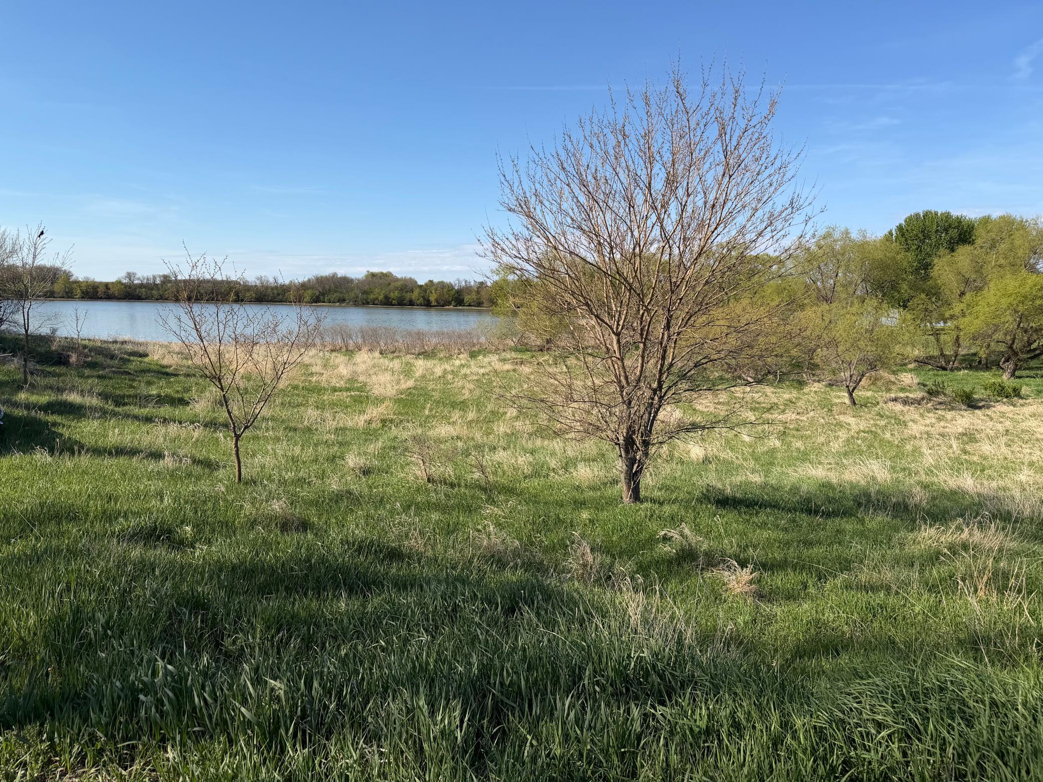 main property photo 73