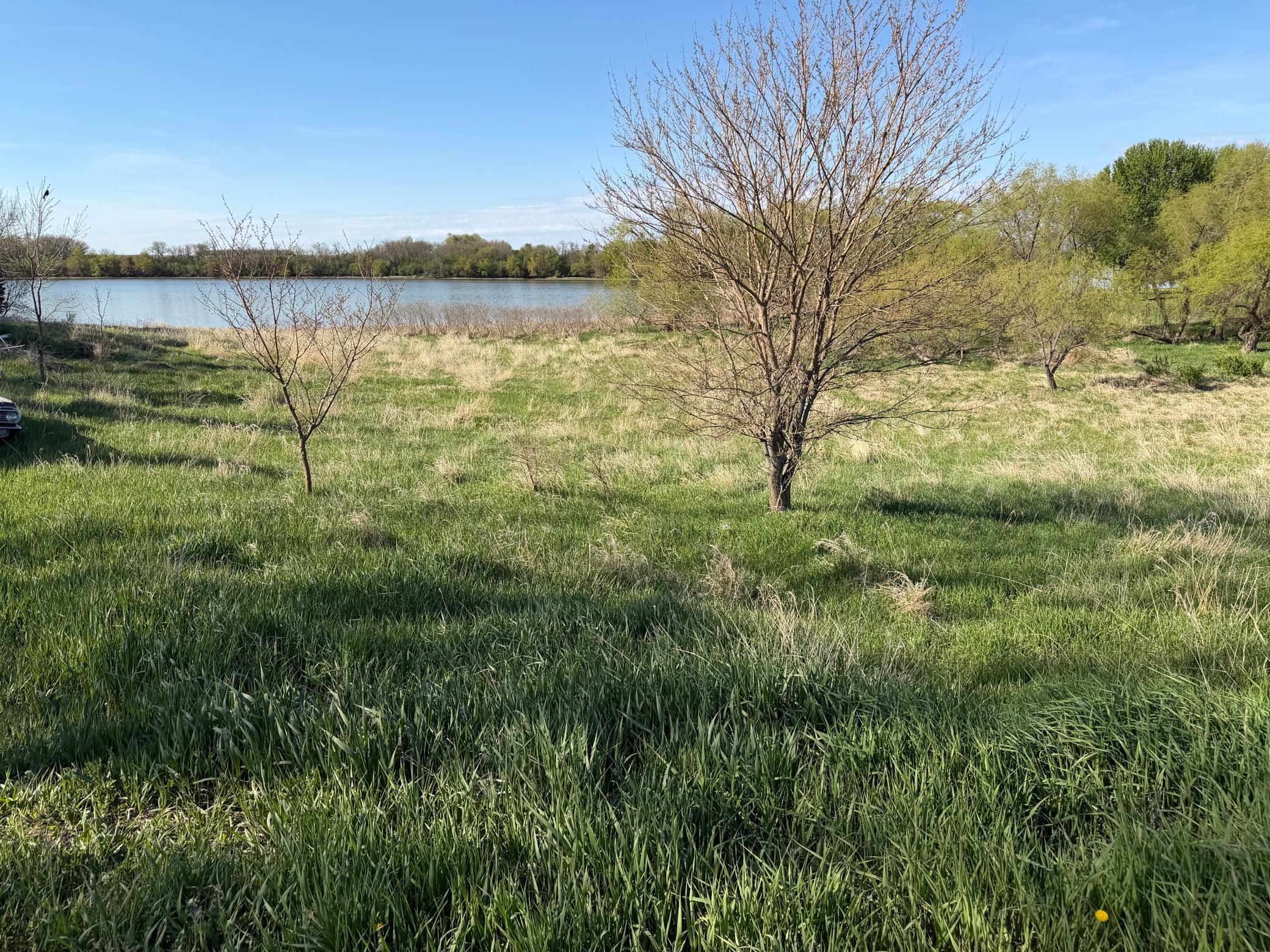 main property photo 74