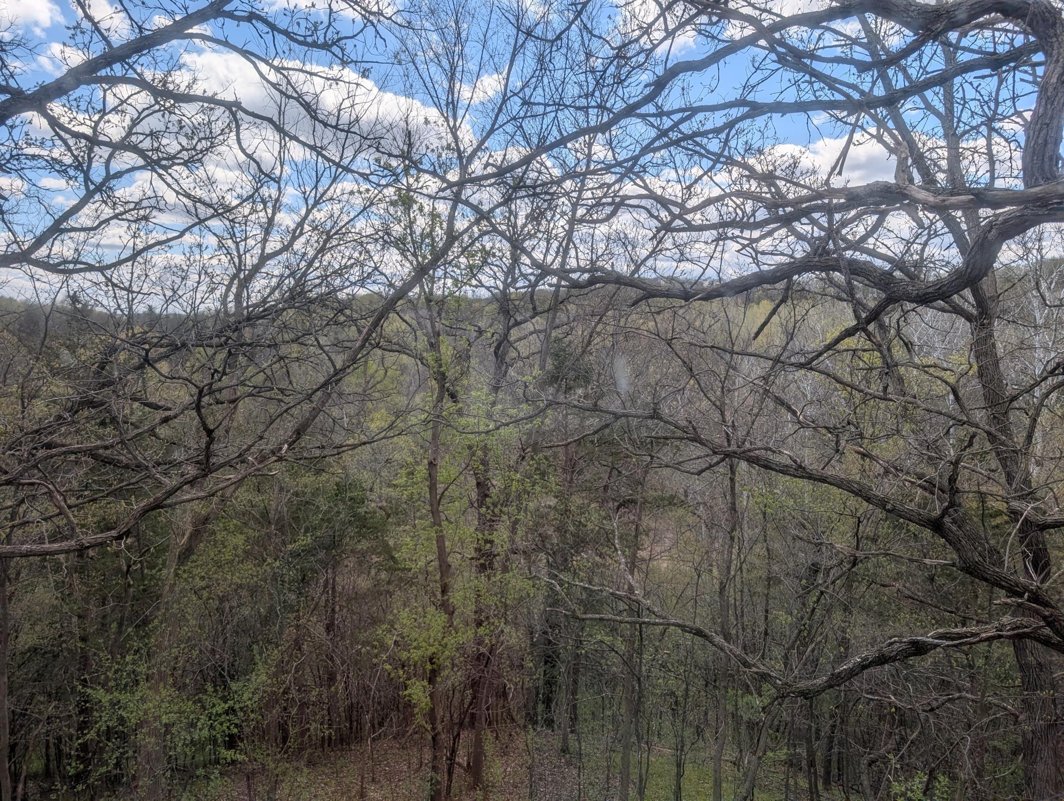 main property photo 39
