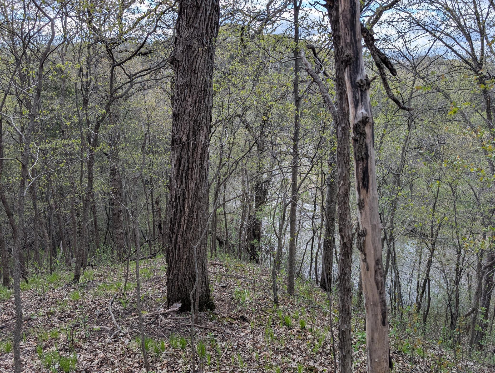 main property photo 42